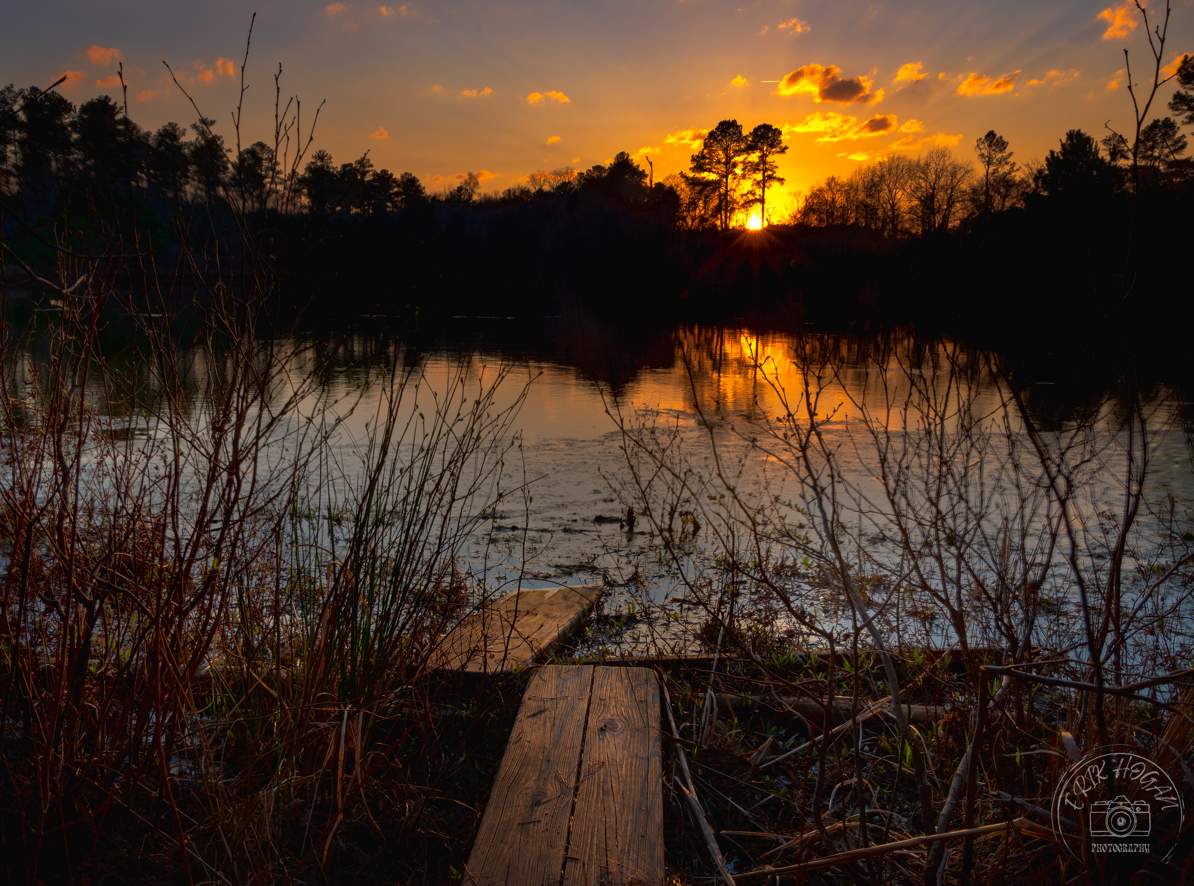 Bartram Forest Sunset, Milledgeville March 2022