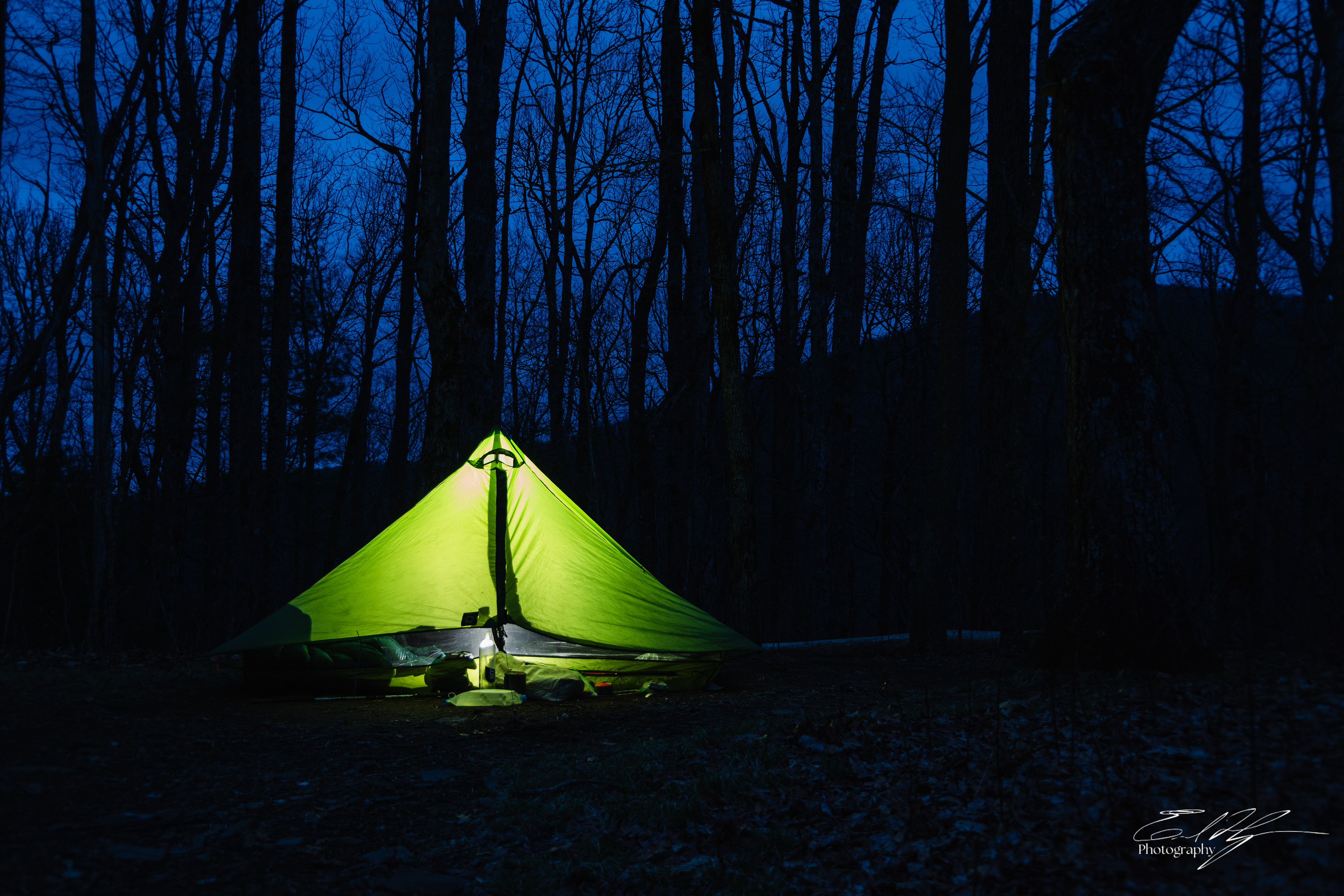 Early Spring 2025   XVII