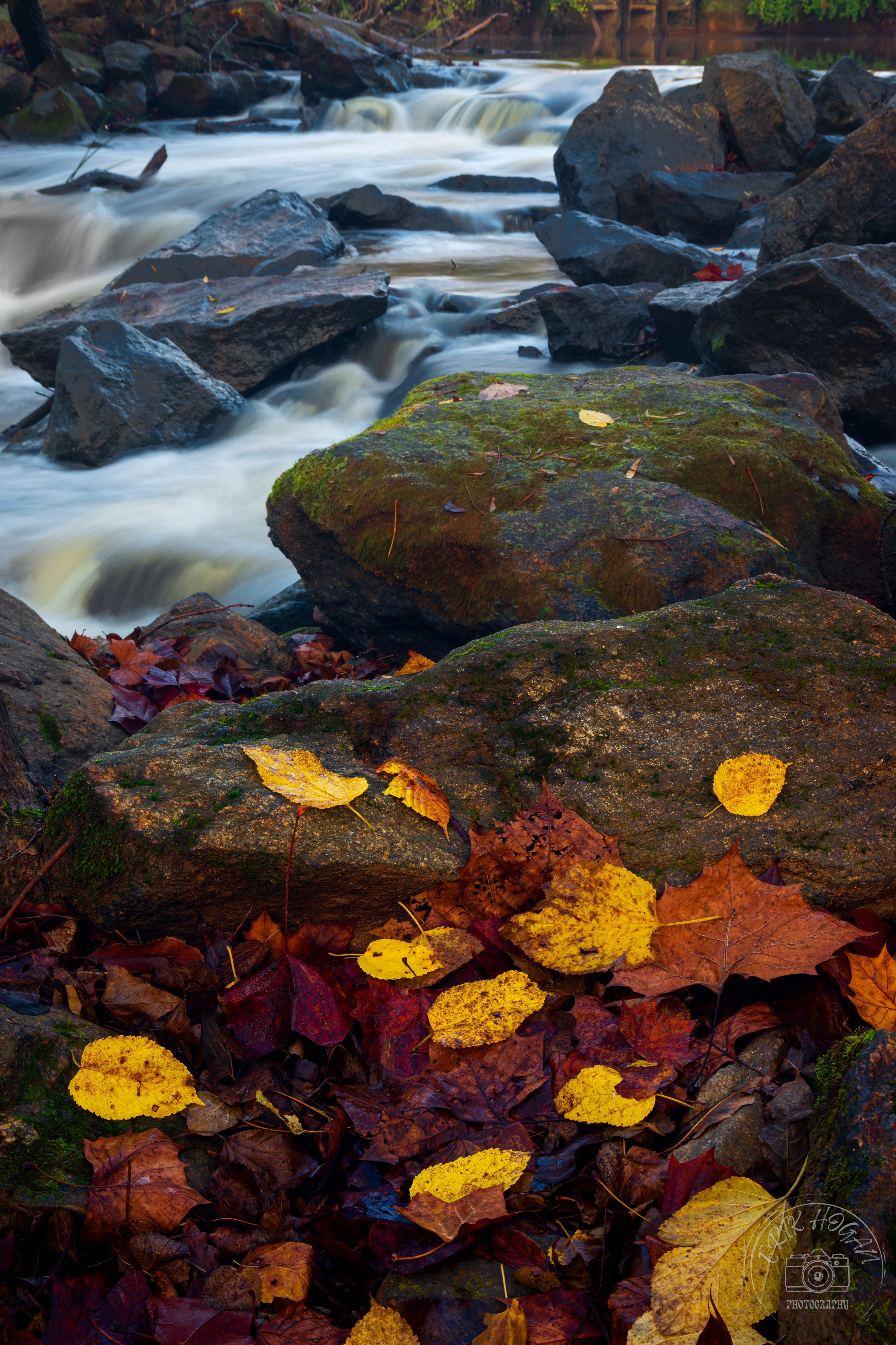 Easley's Mill November 2022   II