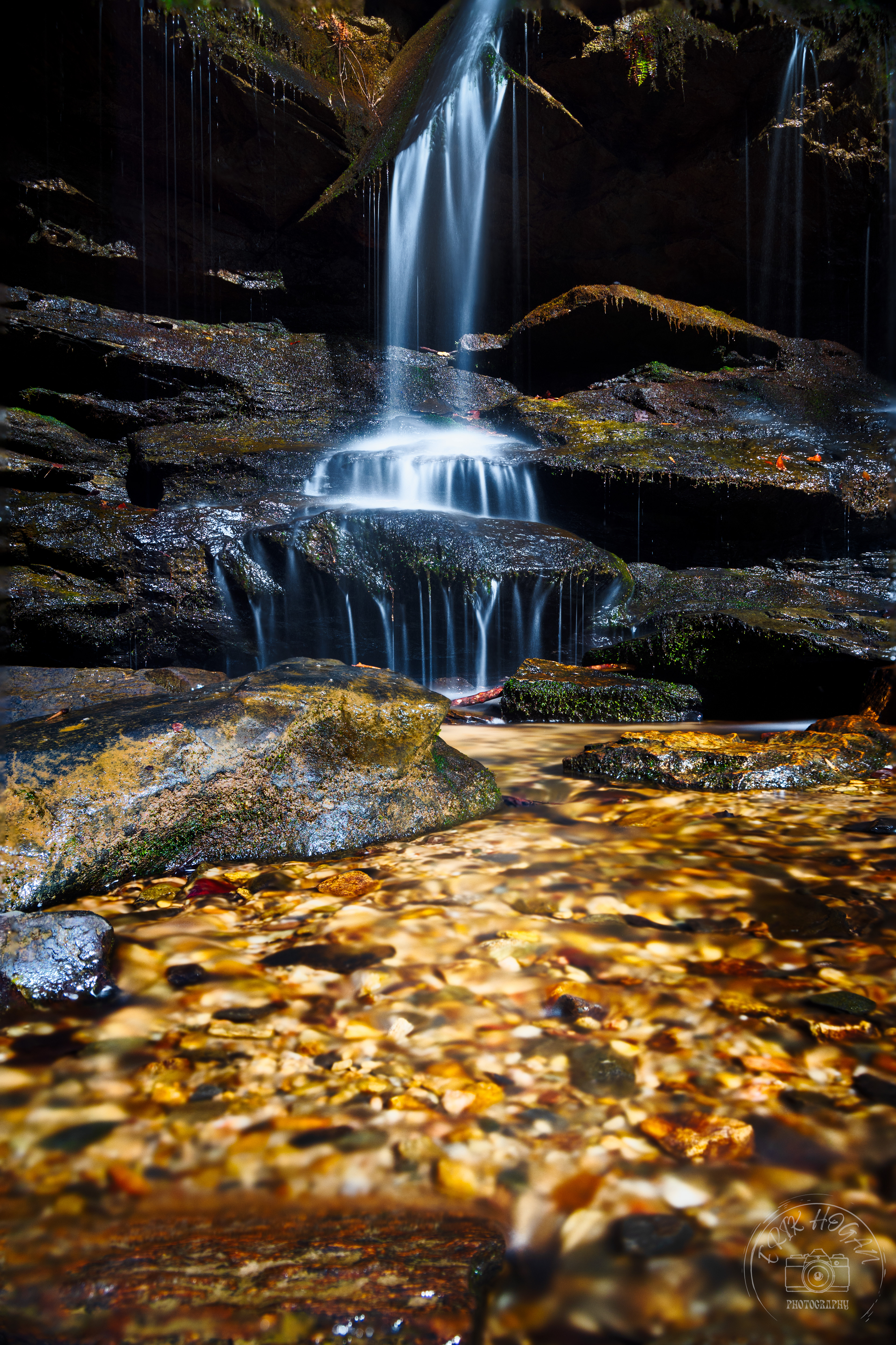 Yellow Branch Falls February 2023   V