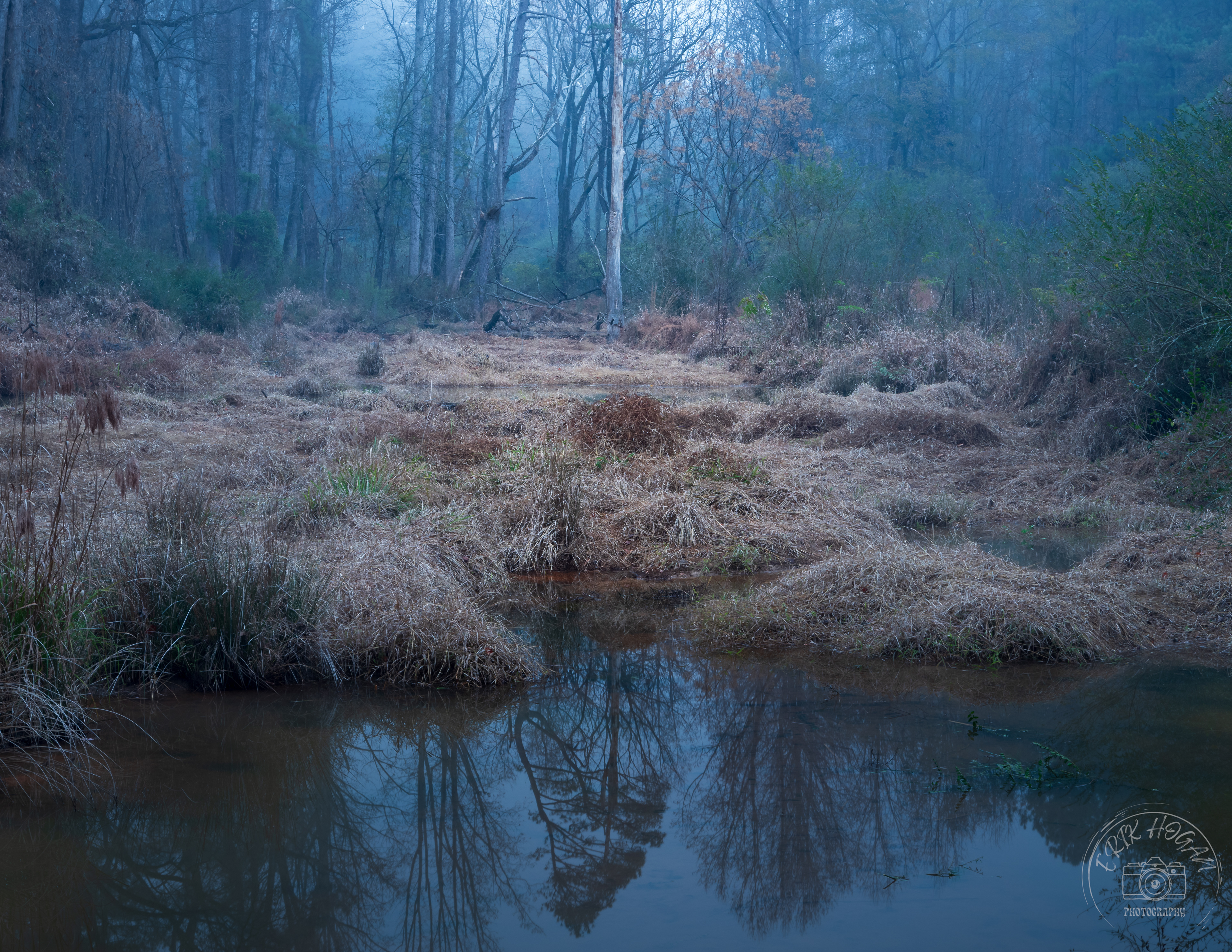 Beaver Pond in Fog December 2023