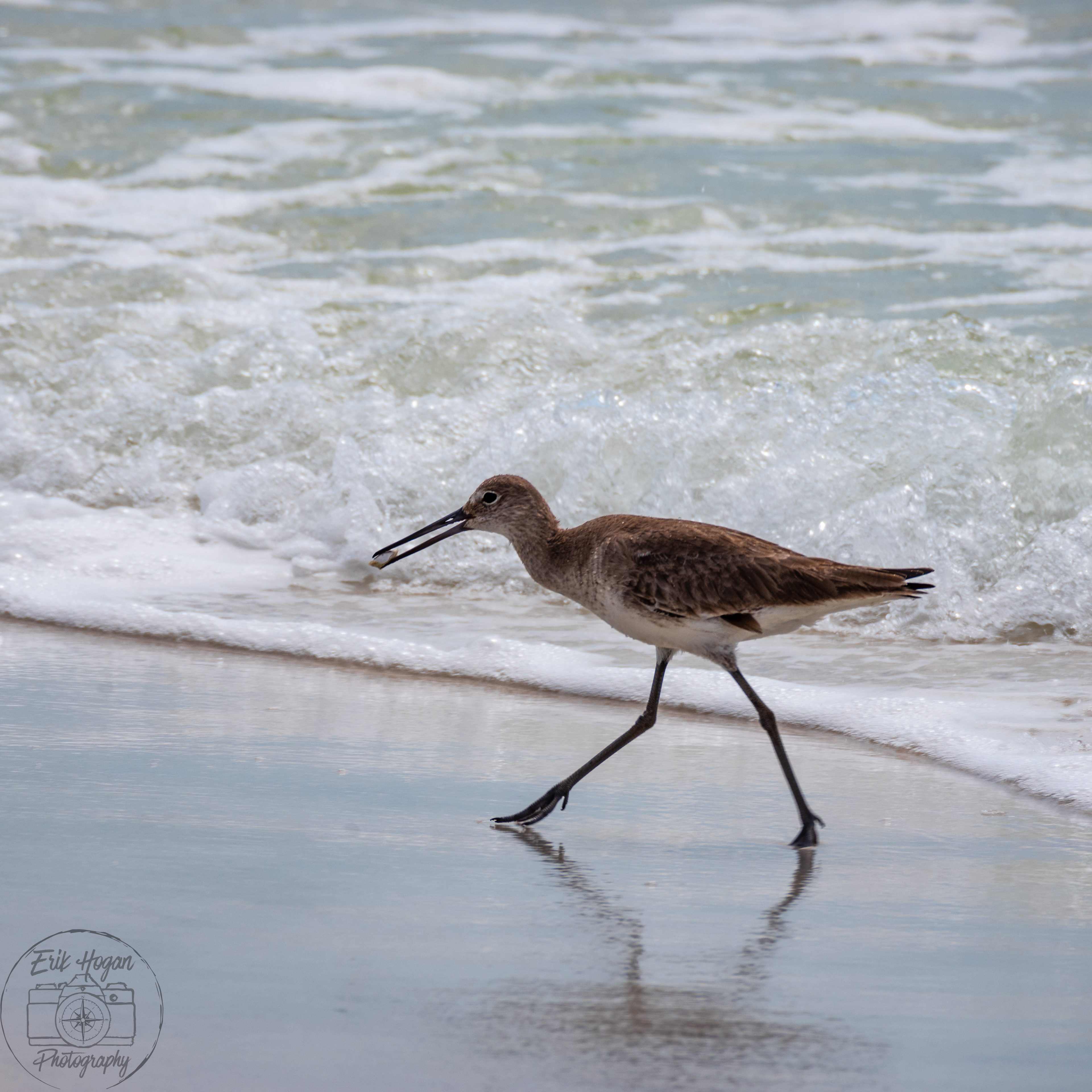 Topsail Hill Preserve State Park March 2024   VI
