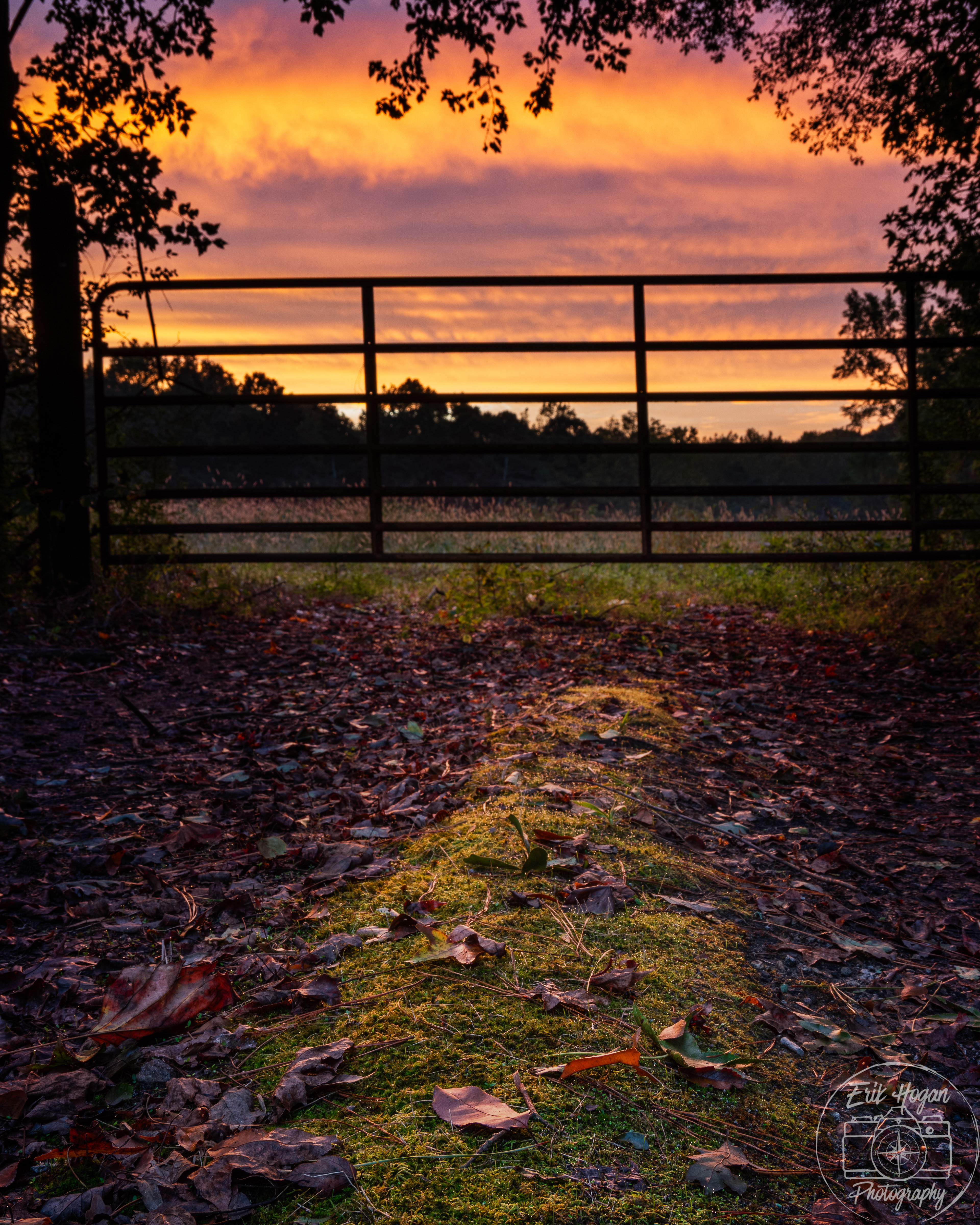 Olympic Dr October 2024