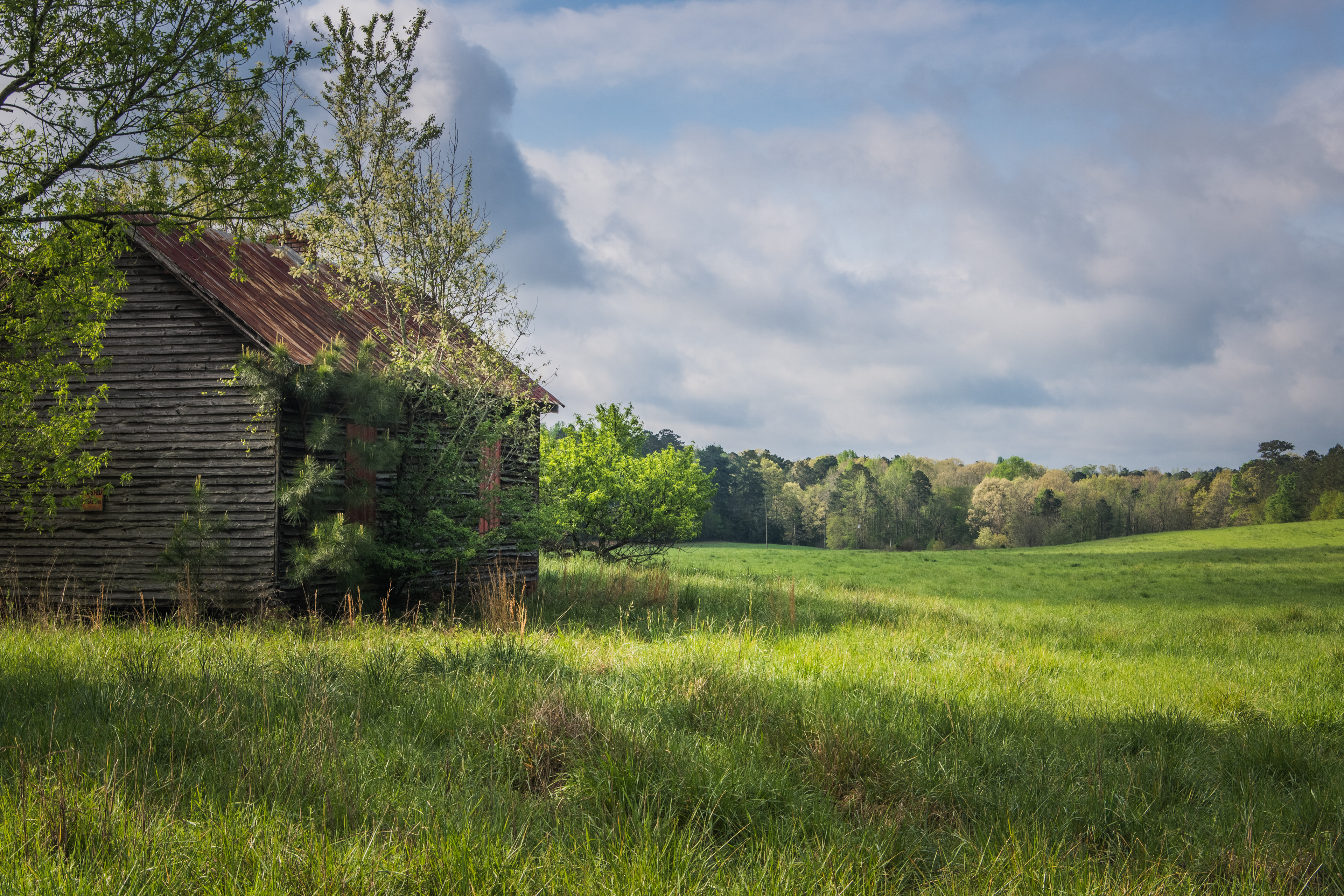Oconee National Forest April 2021   V