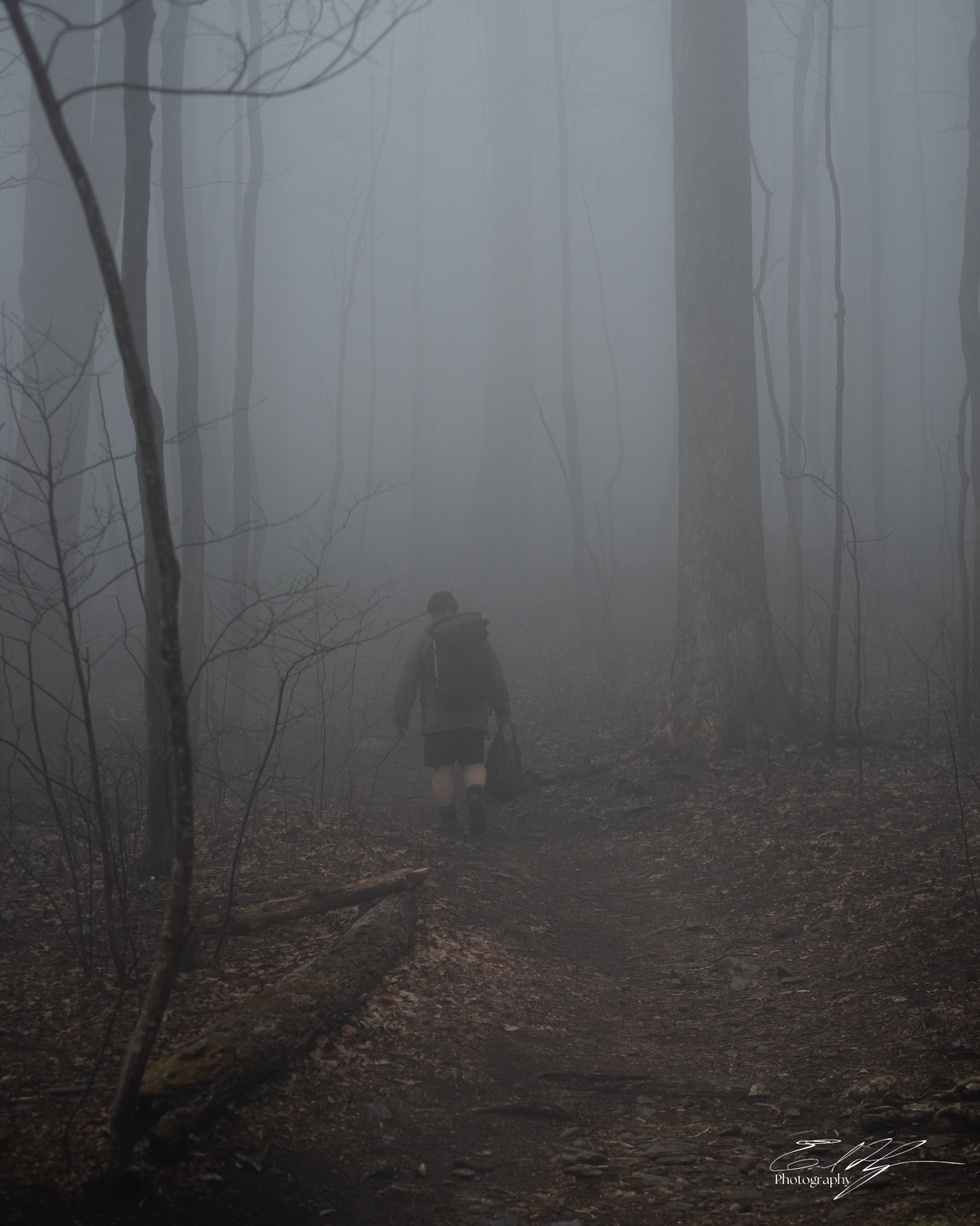 Appalachian Trail 2025   IX