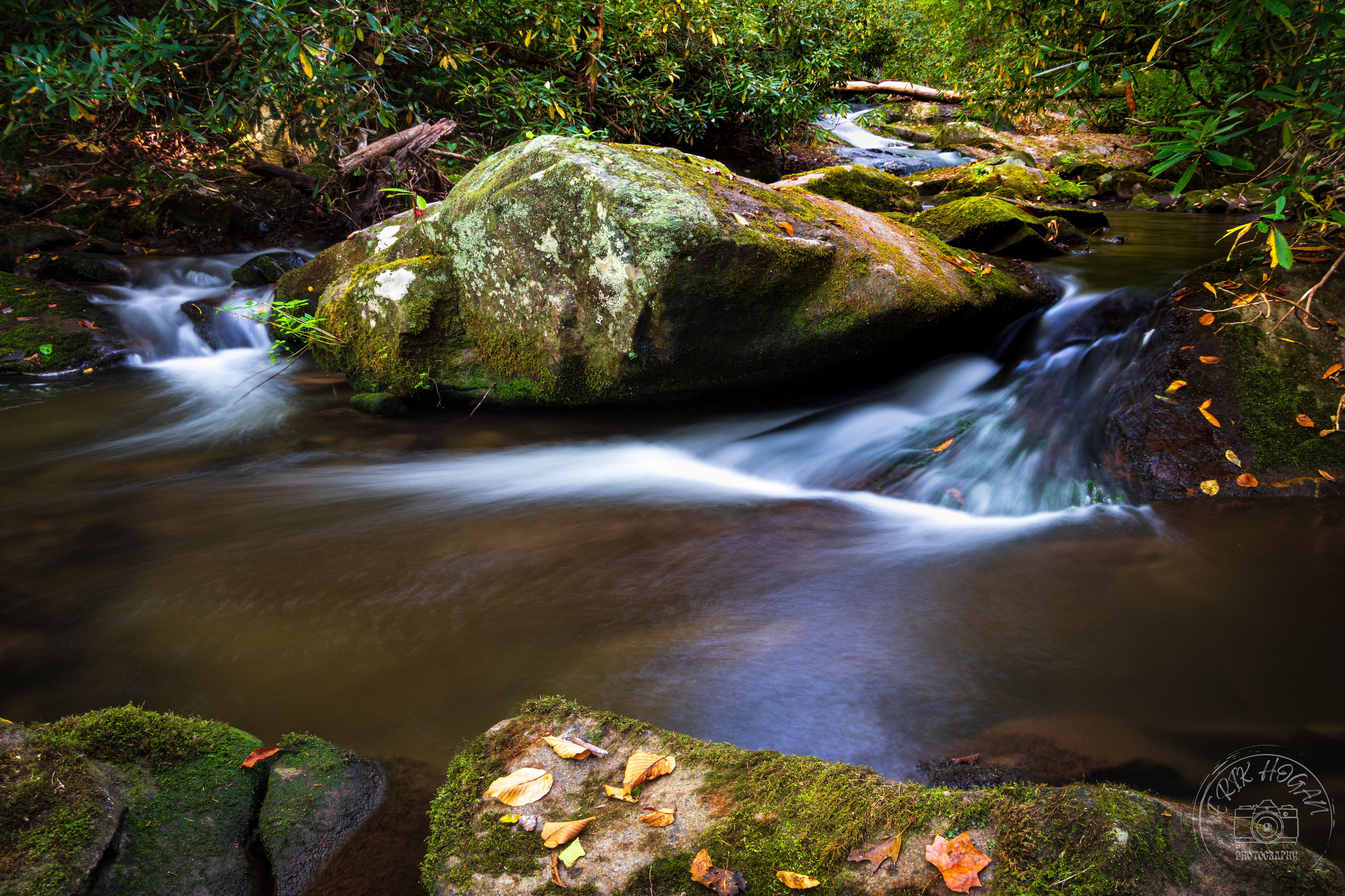 Gregory Bald September 2023   I