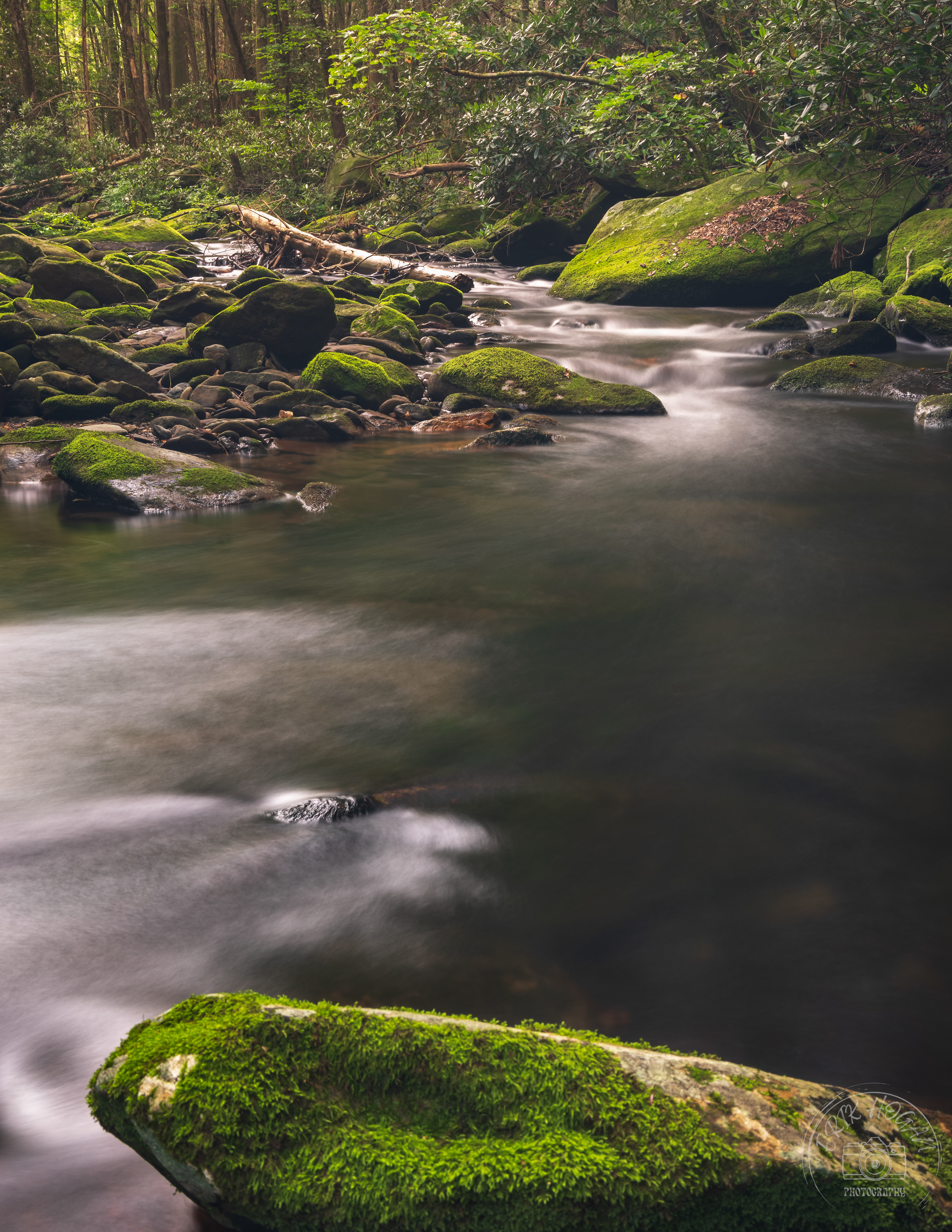 Conasauga River July 2023   II