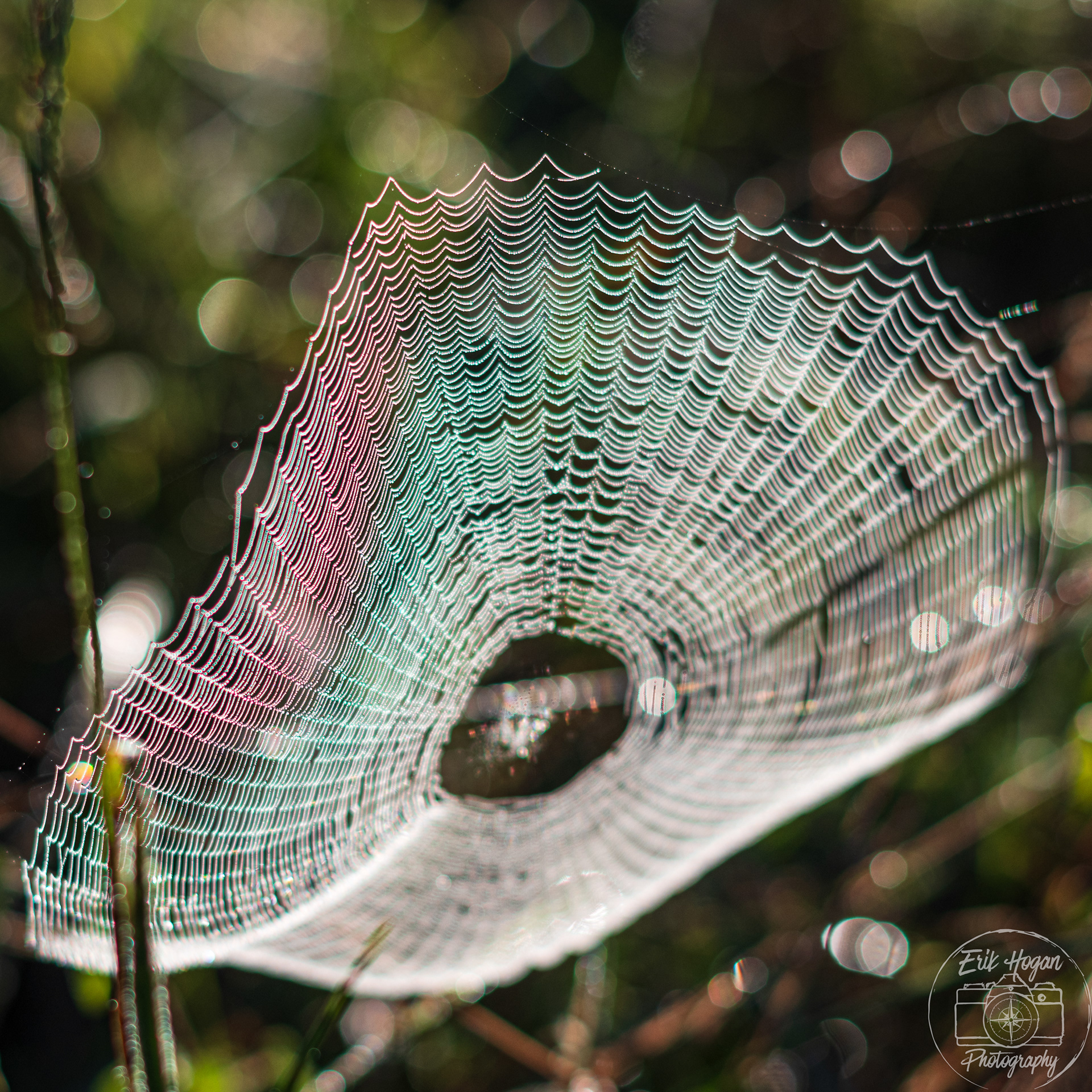 Nowhere Rd August 2024   IV