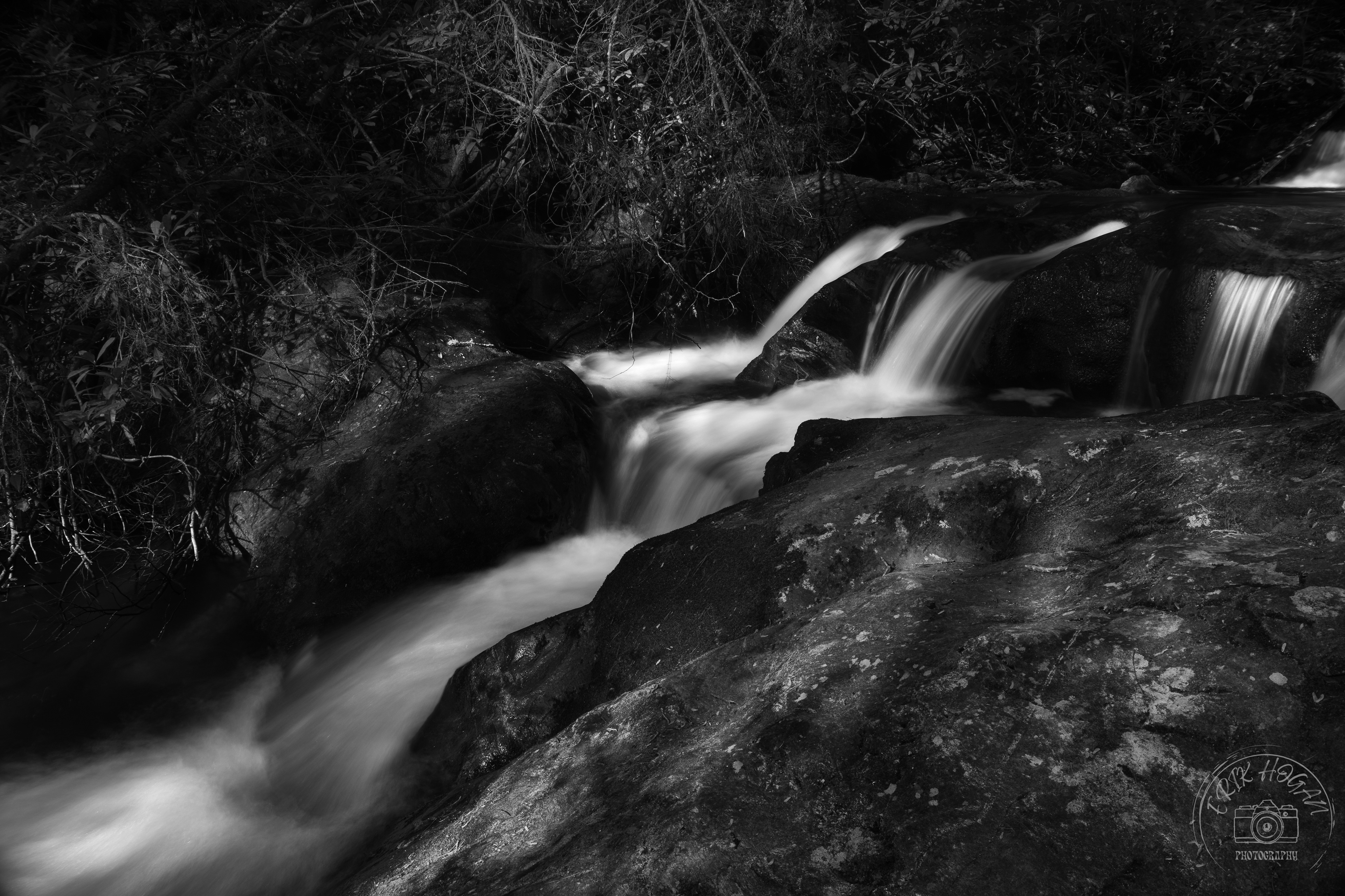 Dodd Creek Cascade April 2023   III