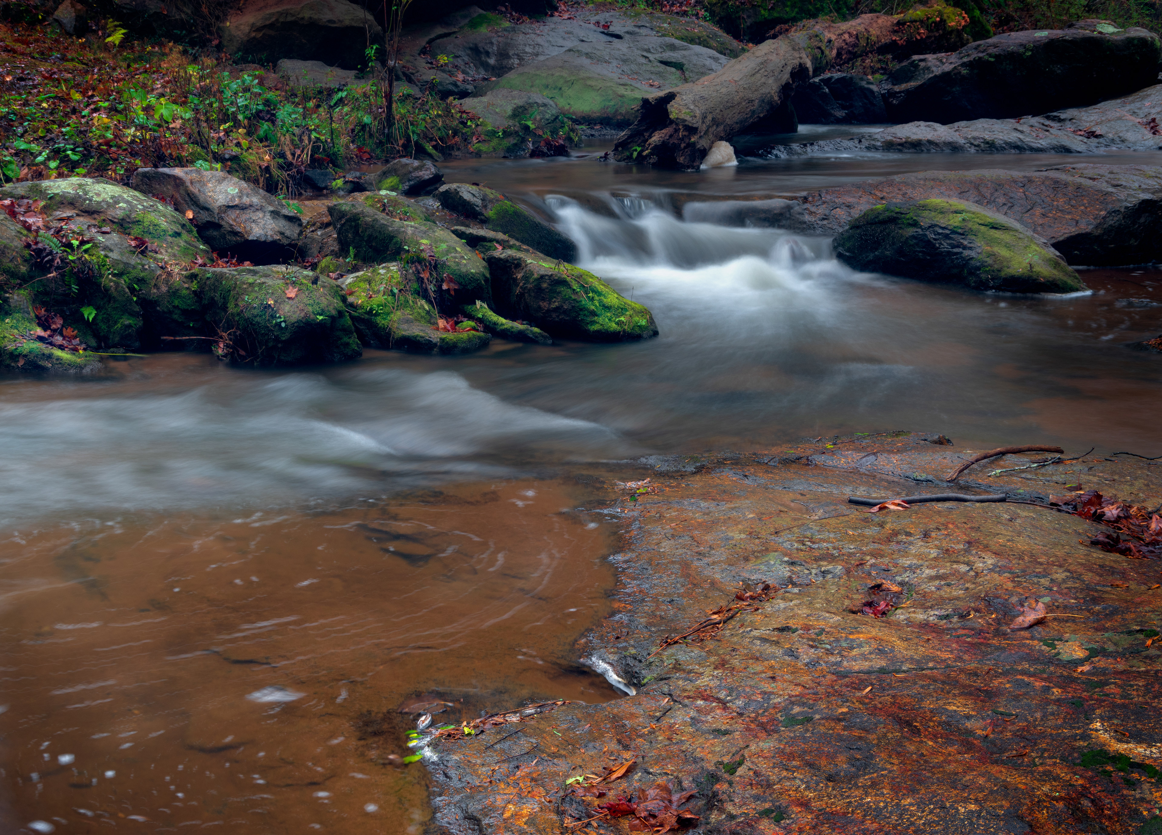 Elder Mill Cascade December 2021   I