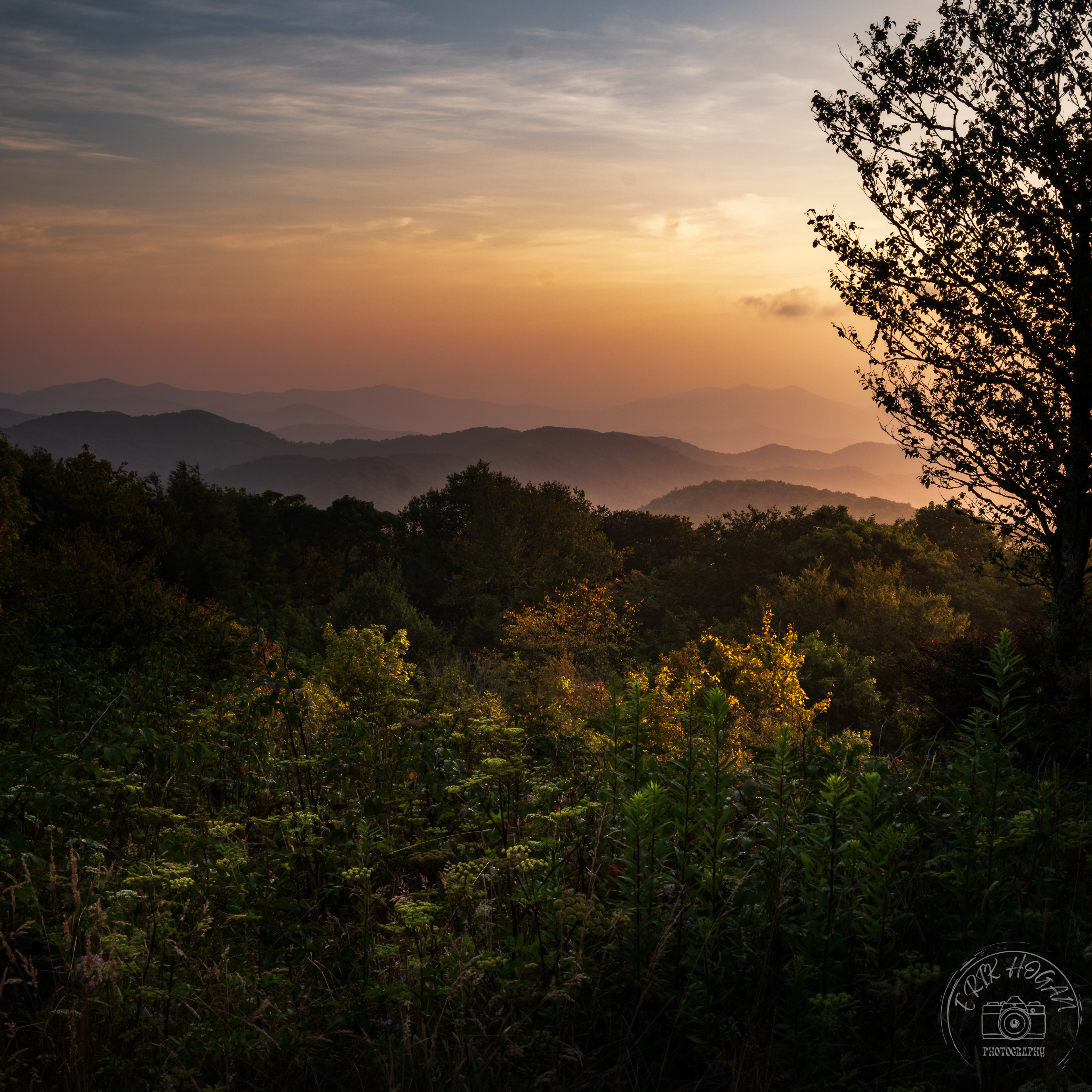 Joyce Kilmer - Slickrock Wilderness August 2023