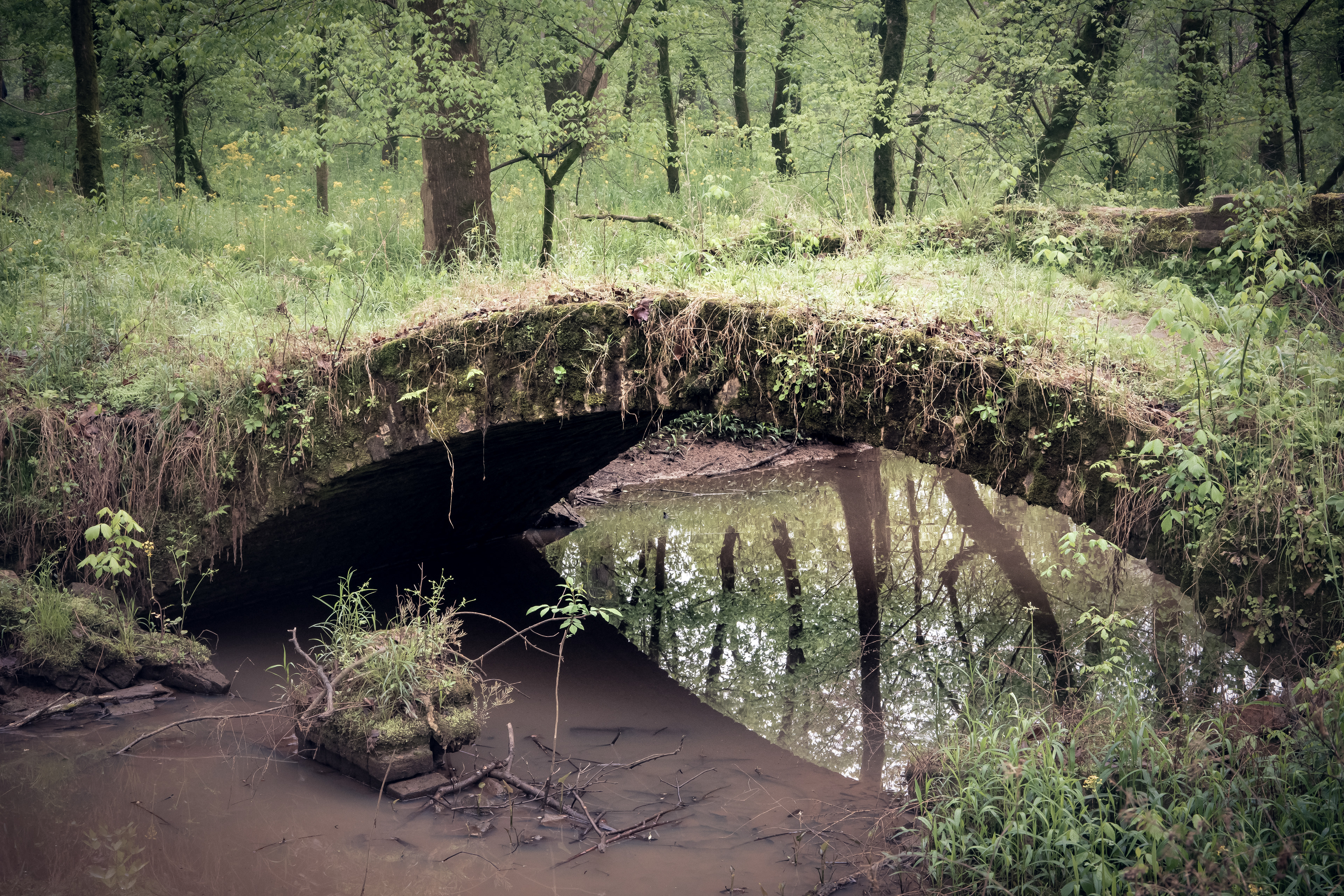 Scull Shoals April 2021   IV