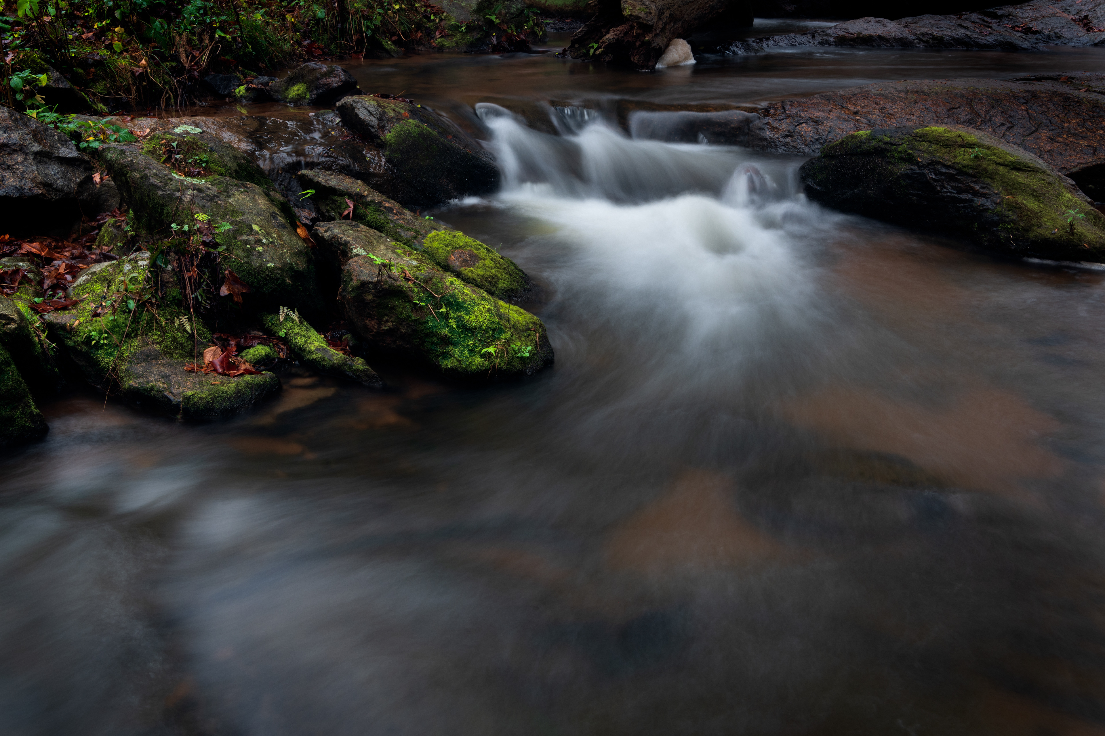 Elder Mill Cascade December 2021   II