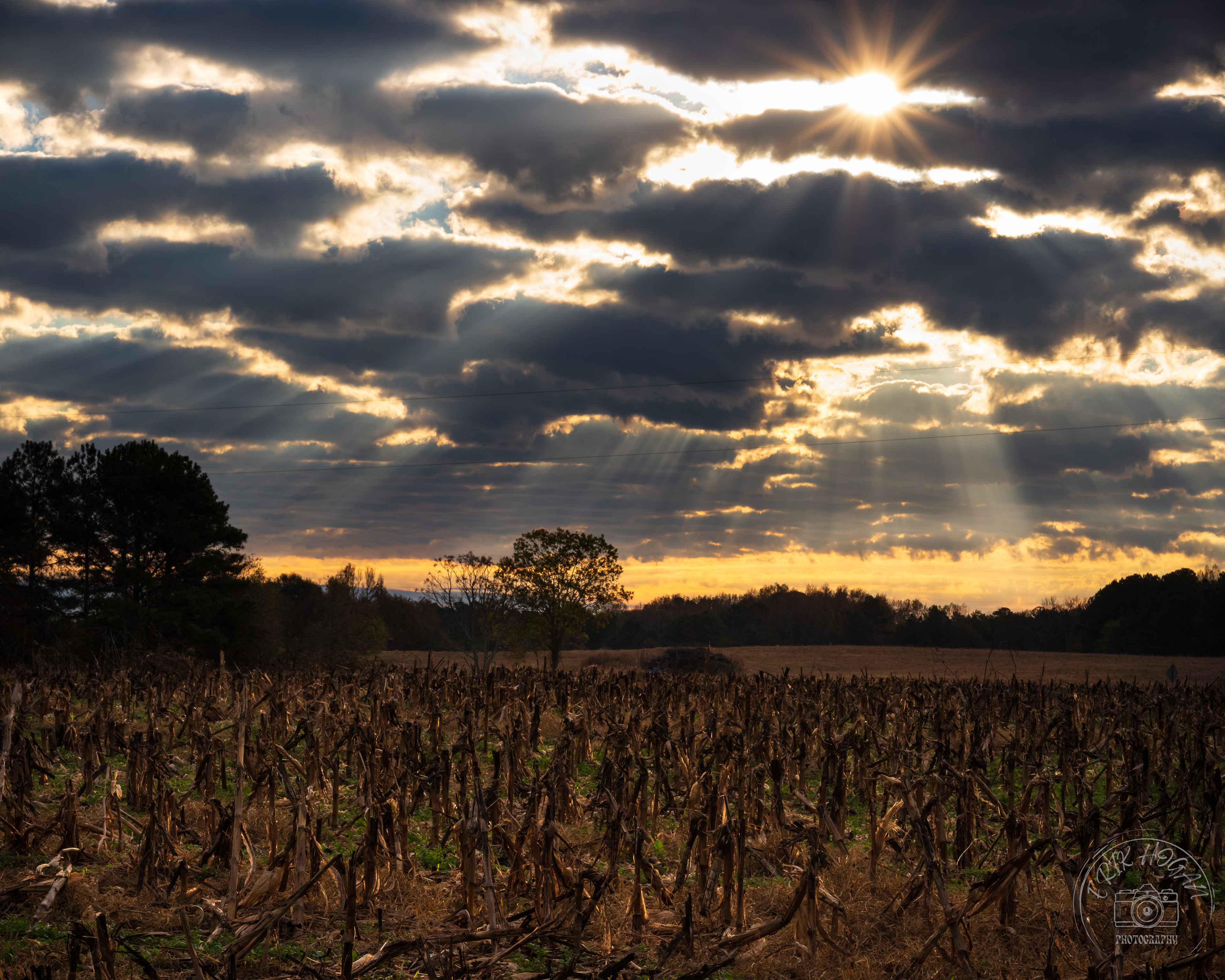 Pittard Rd Sunrays November 2023