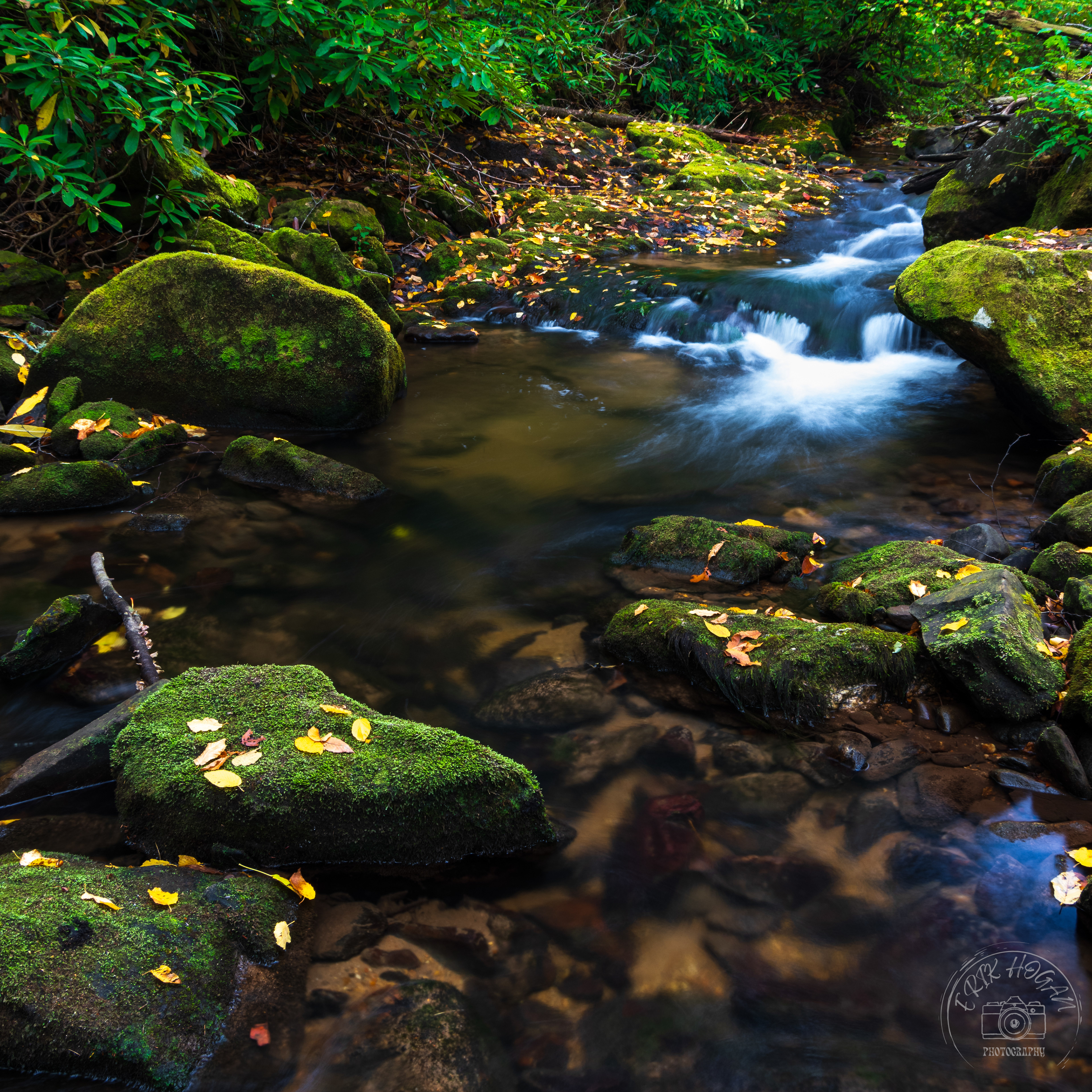 Moccasin Creek October 2023   VIII