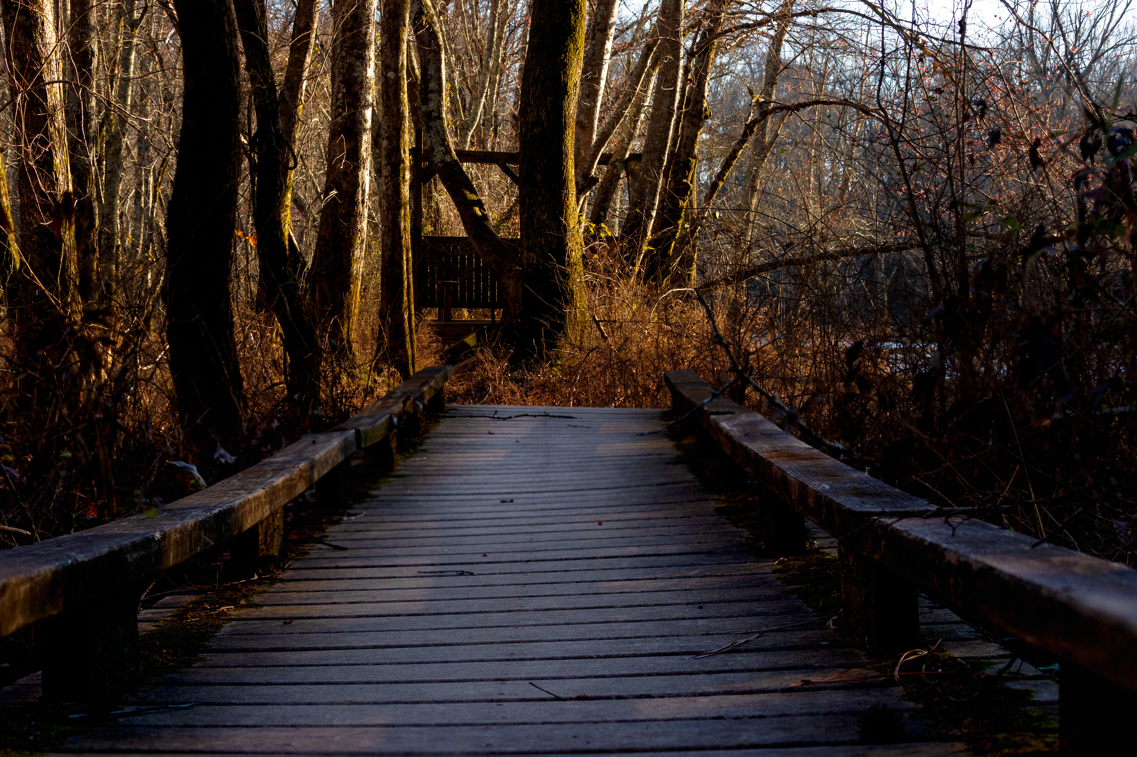 Sandy Creek Nature Center February 2022   I