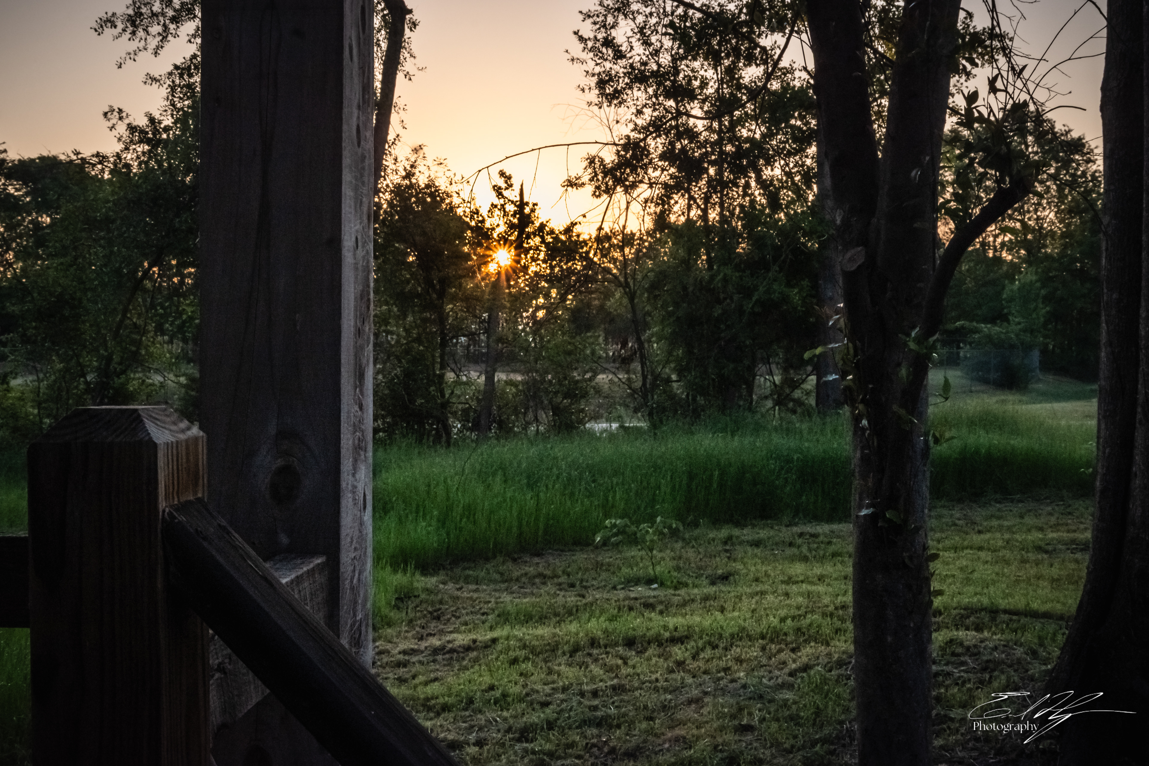 Green Bough House of Prayer April 2025   X