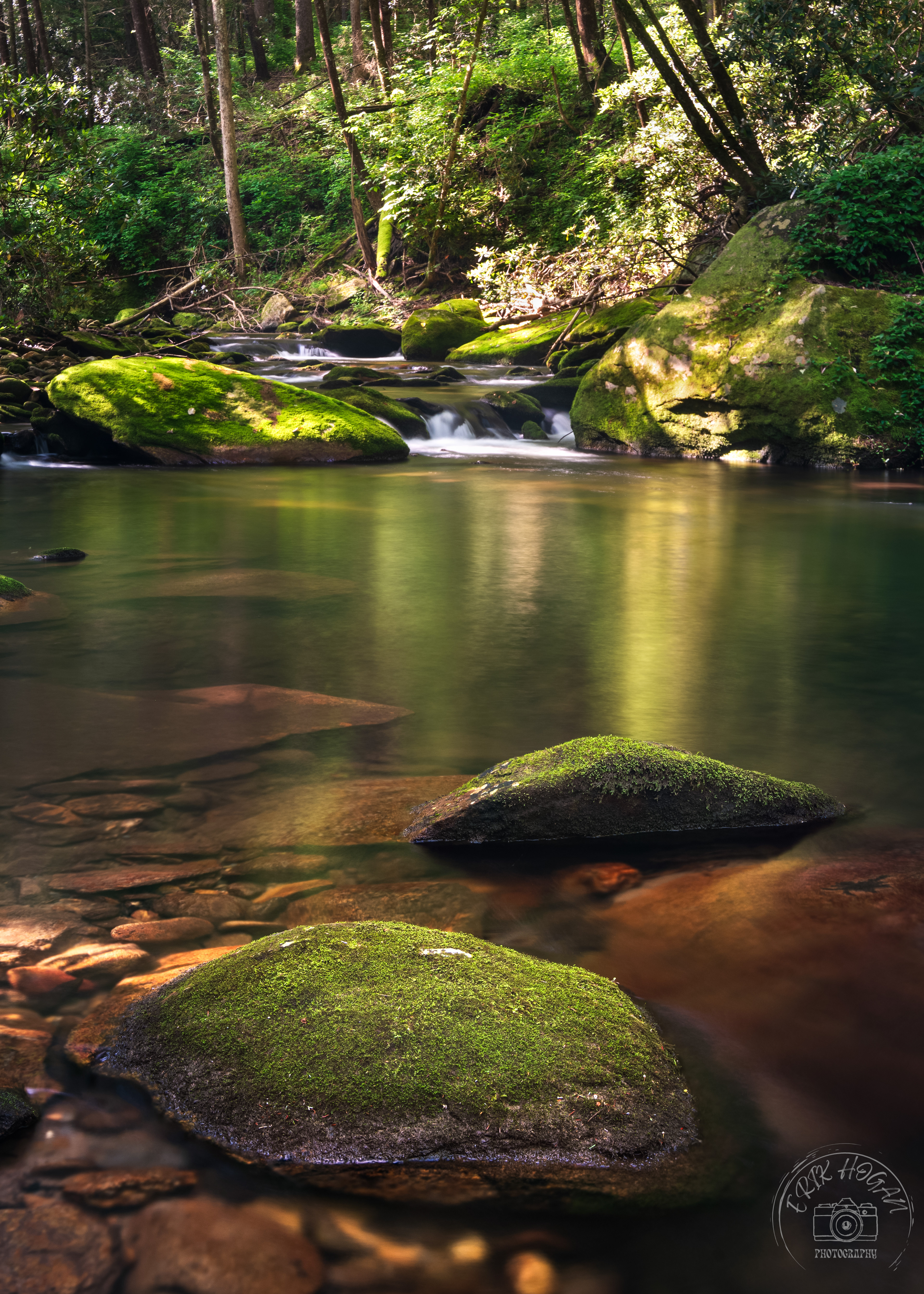 Conasauga River July 2023   IV