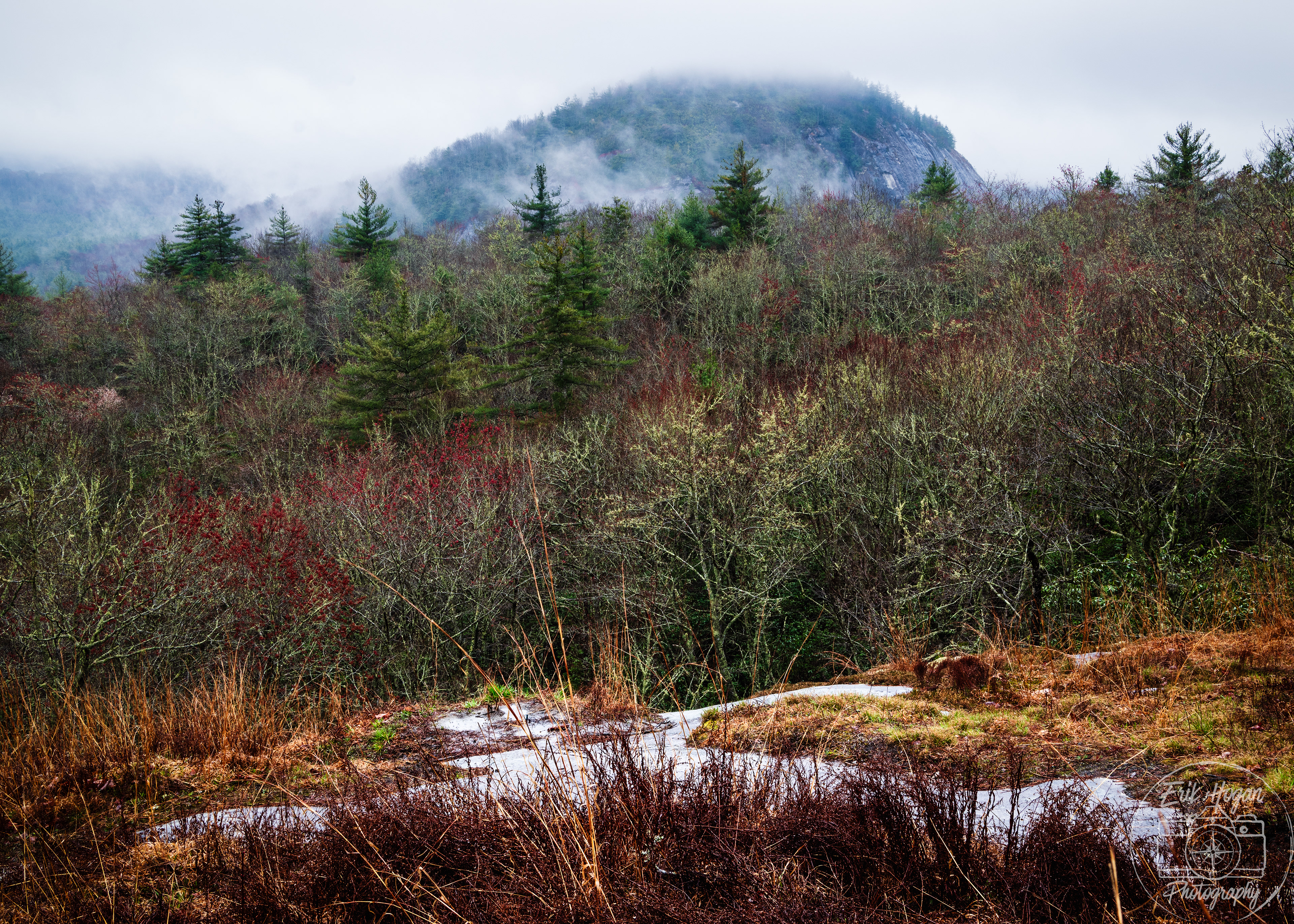 Panthertown Valley April 2024   IX