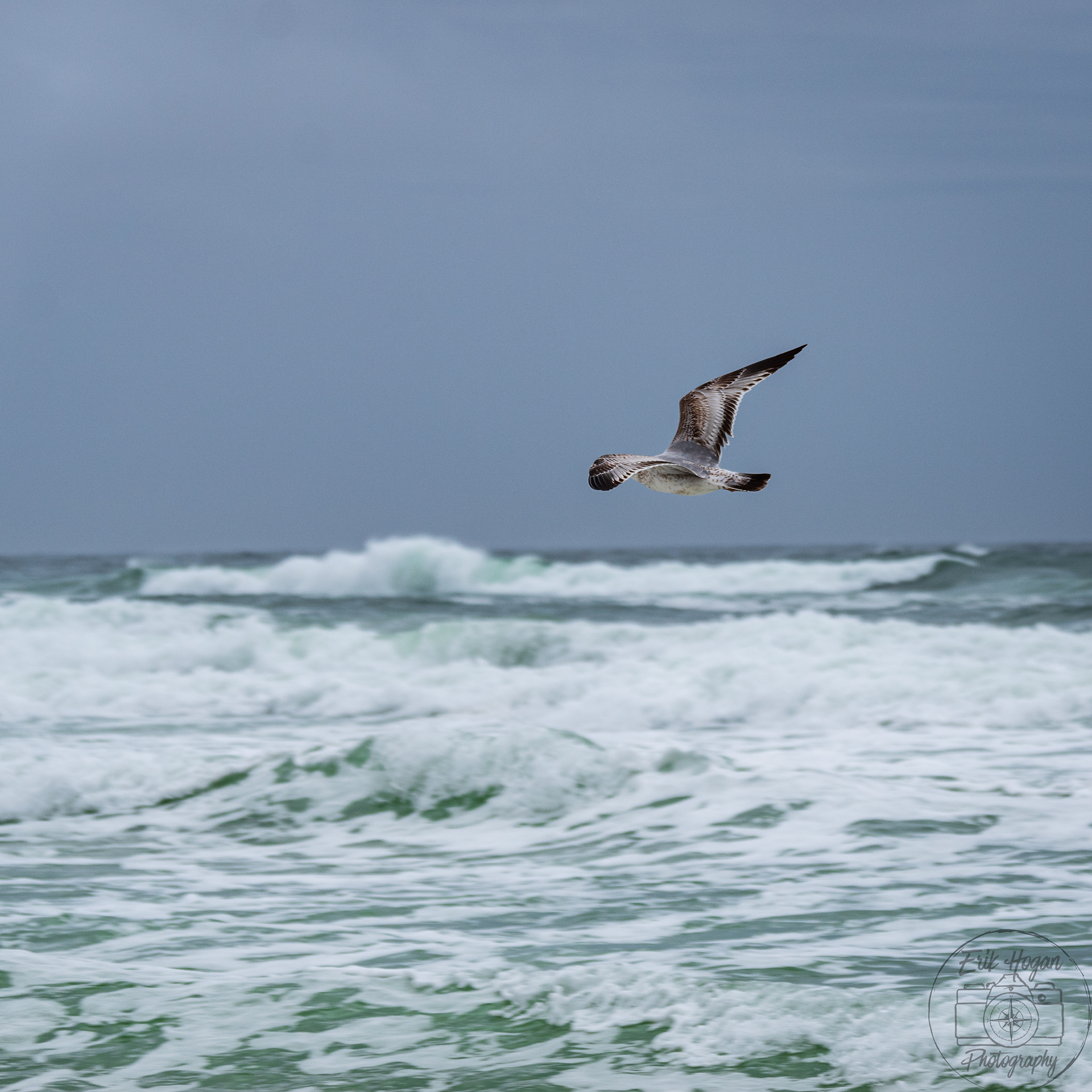 Miramar Beach March 2024   VII