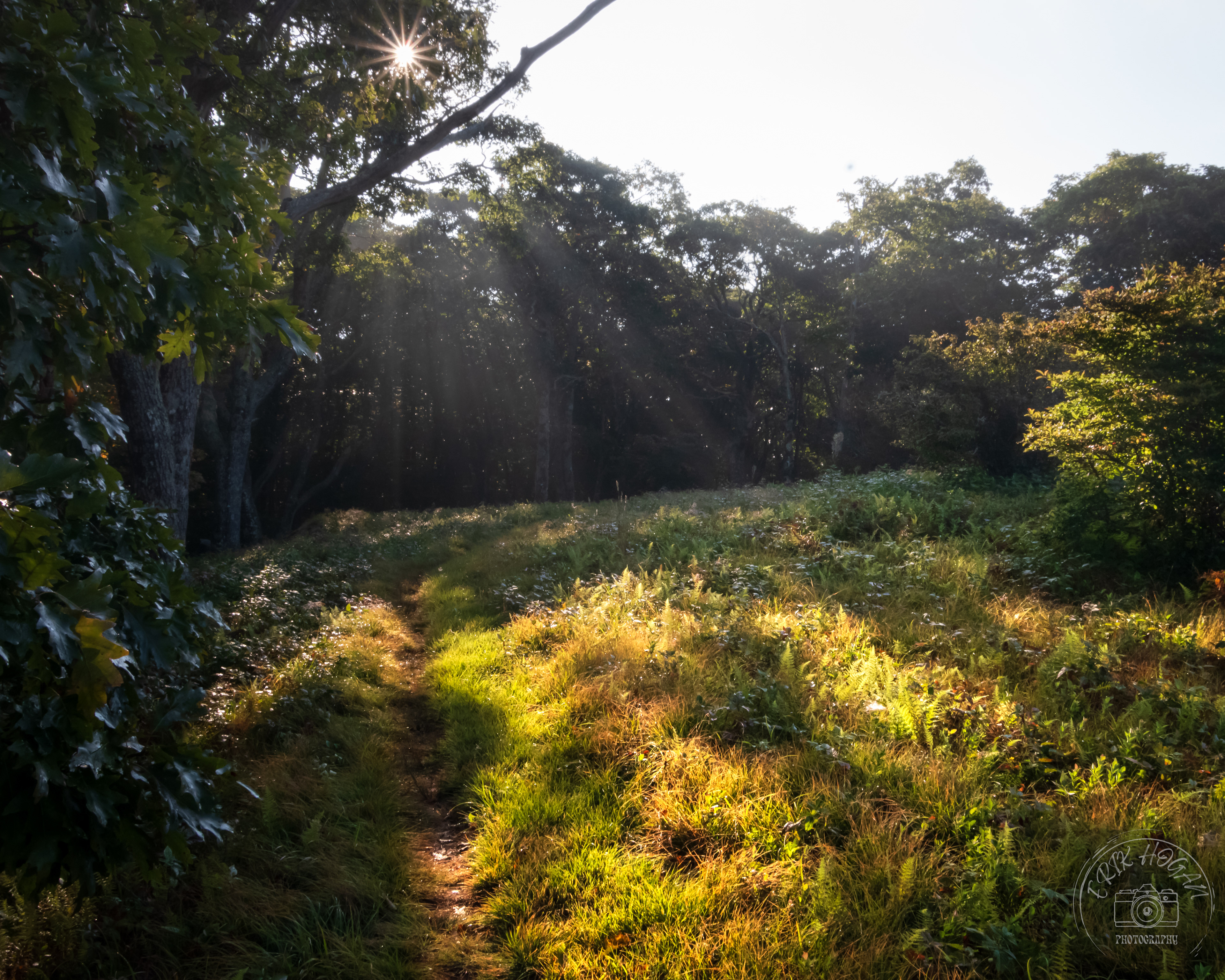 Gregory Bald September 2023   XIII