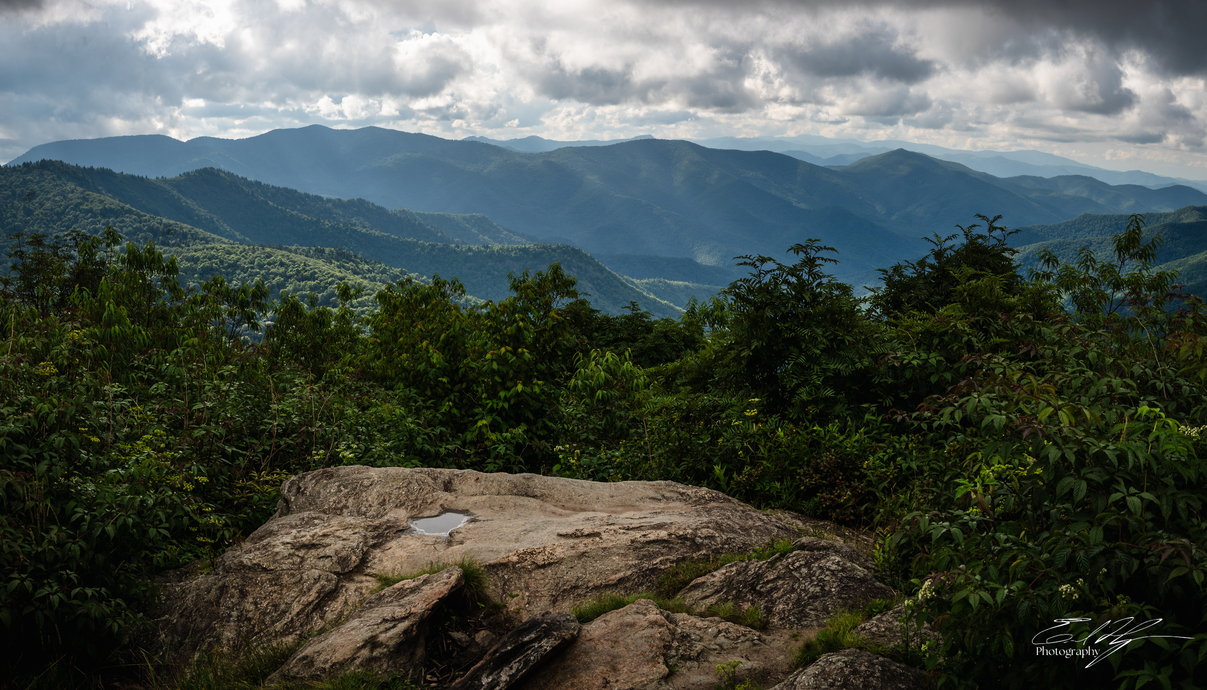 Sam Knob August 2025 IV