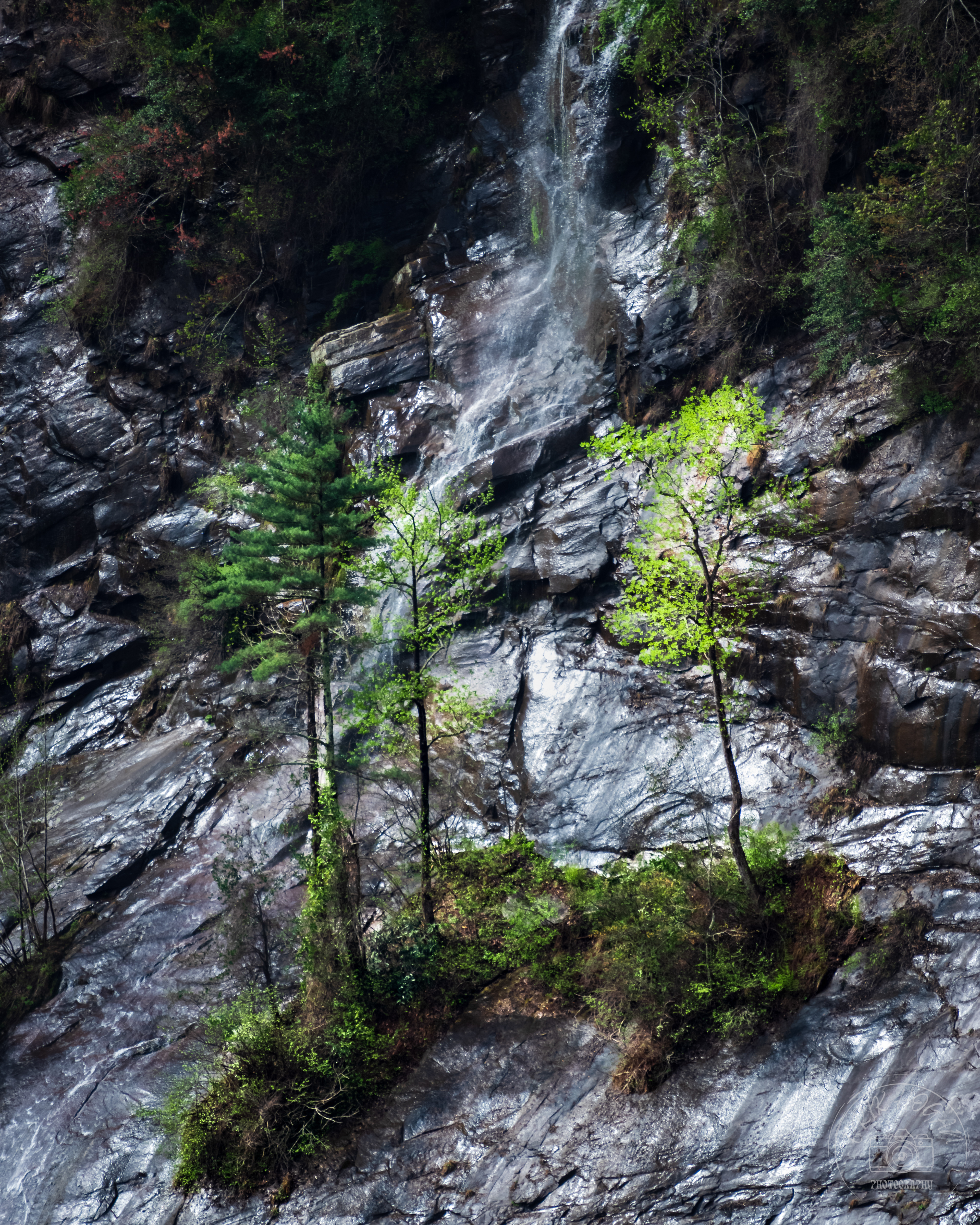 Tallulah Gorge April 2023   III