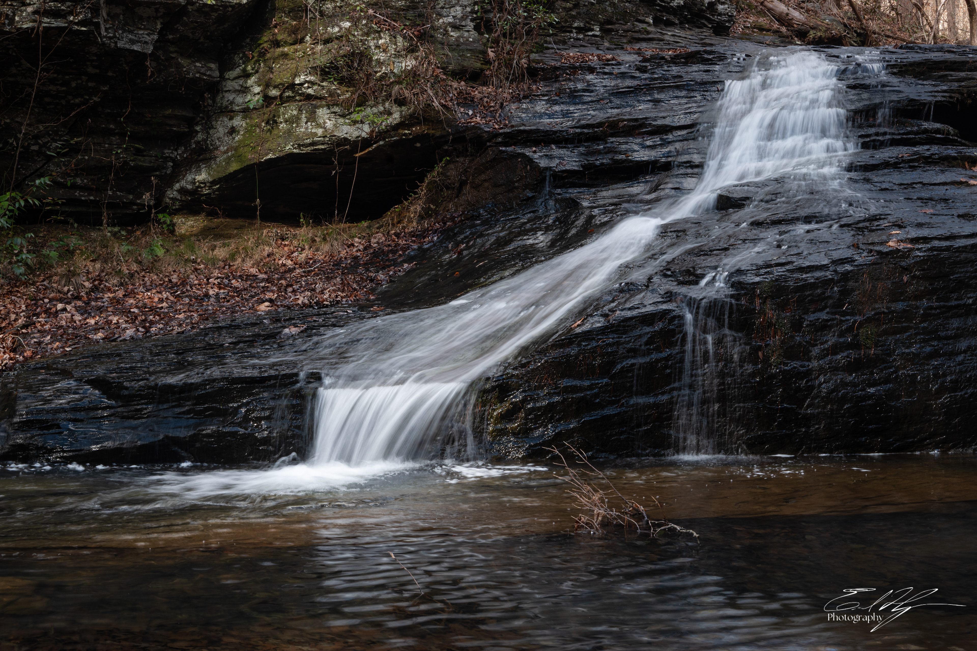 Romans Falls, Lake Russell WMA January 2026 I