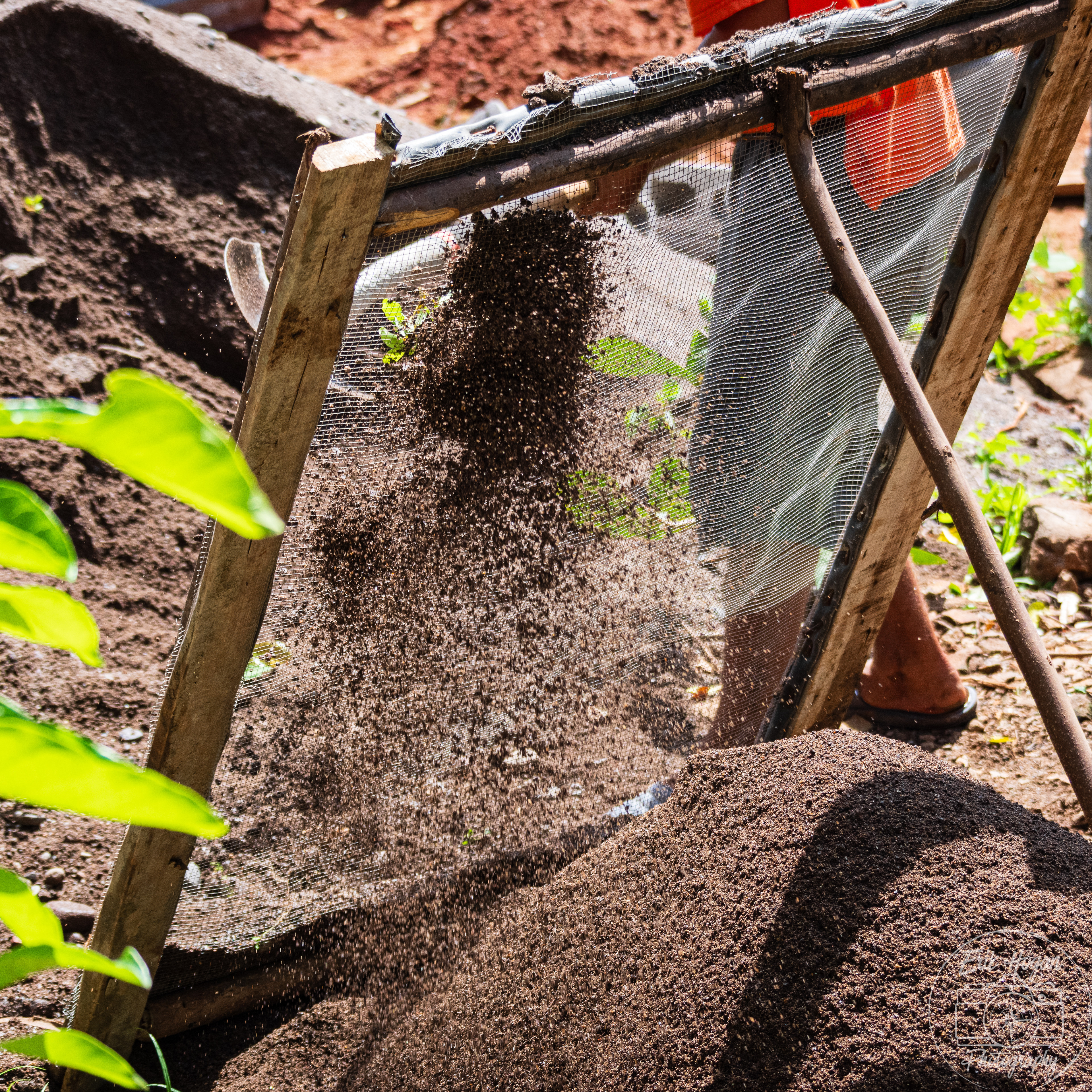 Nacaome, Honduras July 2024   XLIX