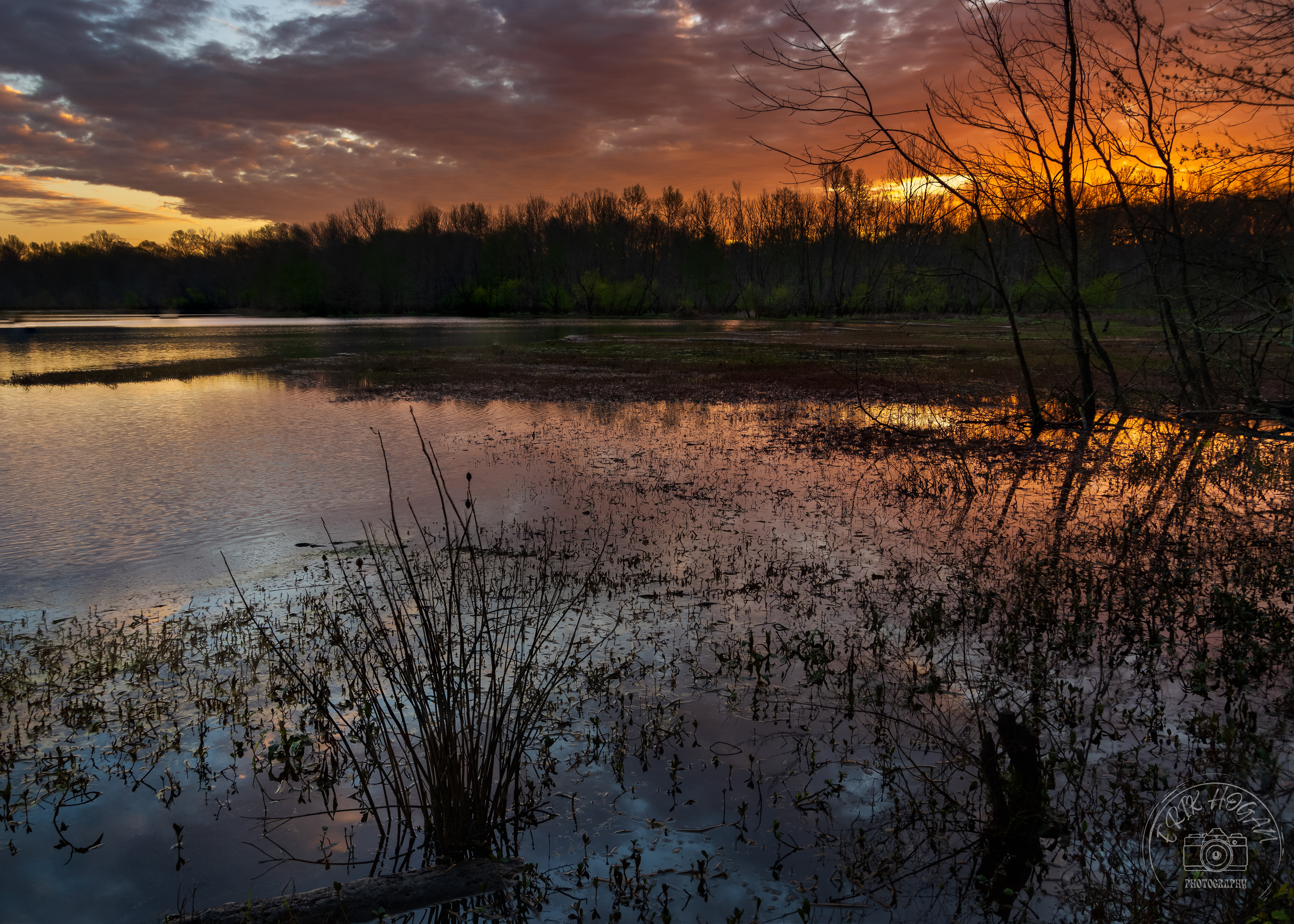 Dyar's Pasture March 2023   I