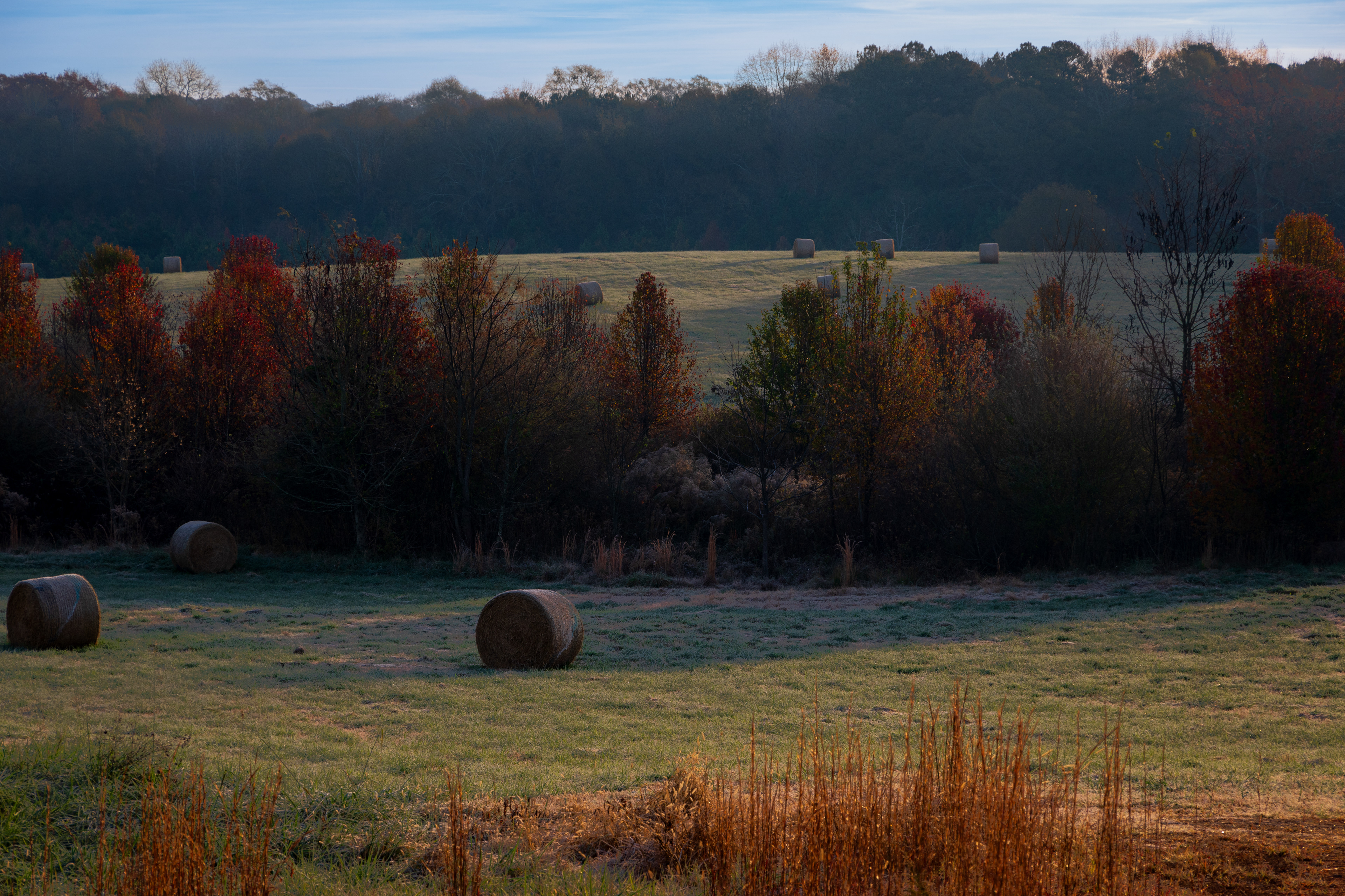 South Milledge November 2021