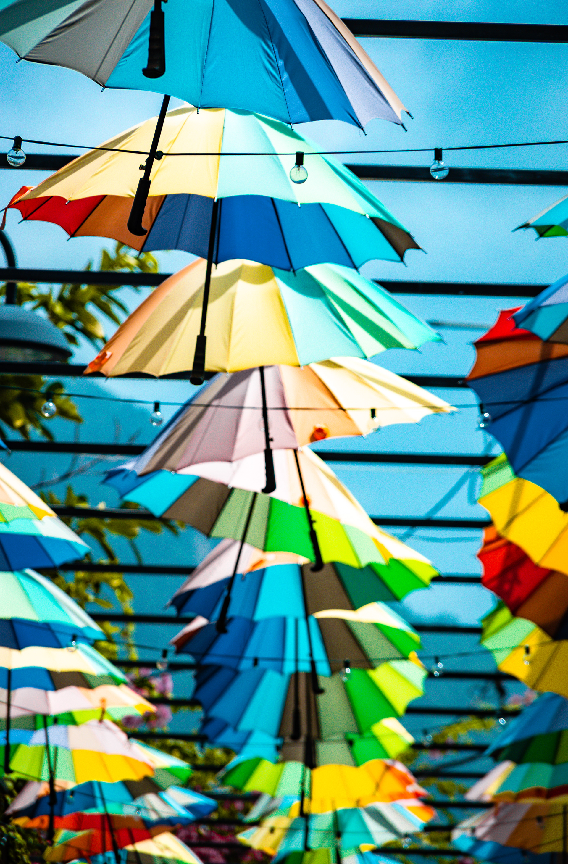 Puerto Plata, Dominican Republic July 2021   XIV