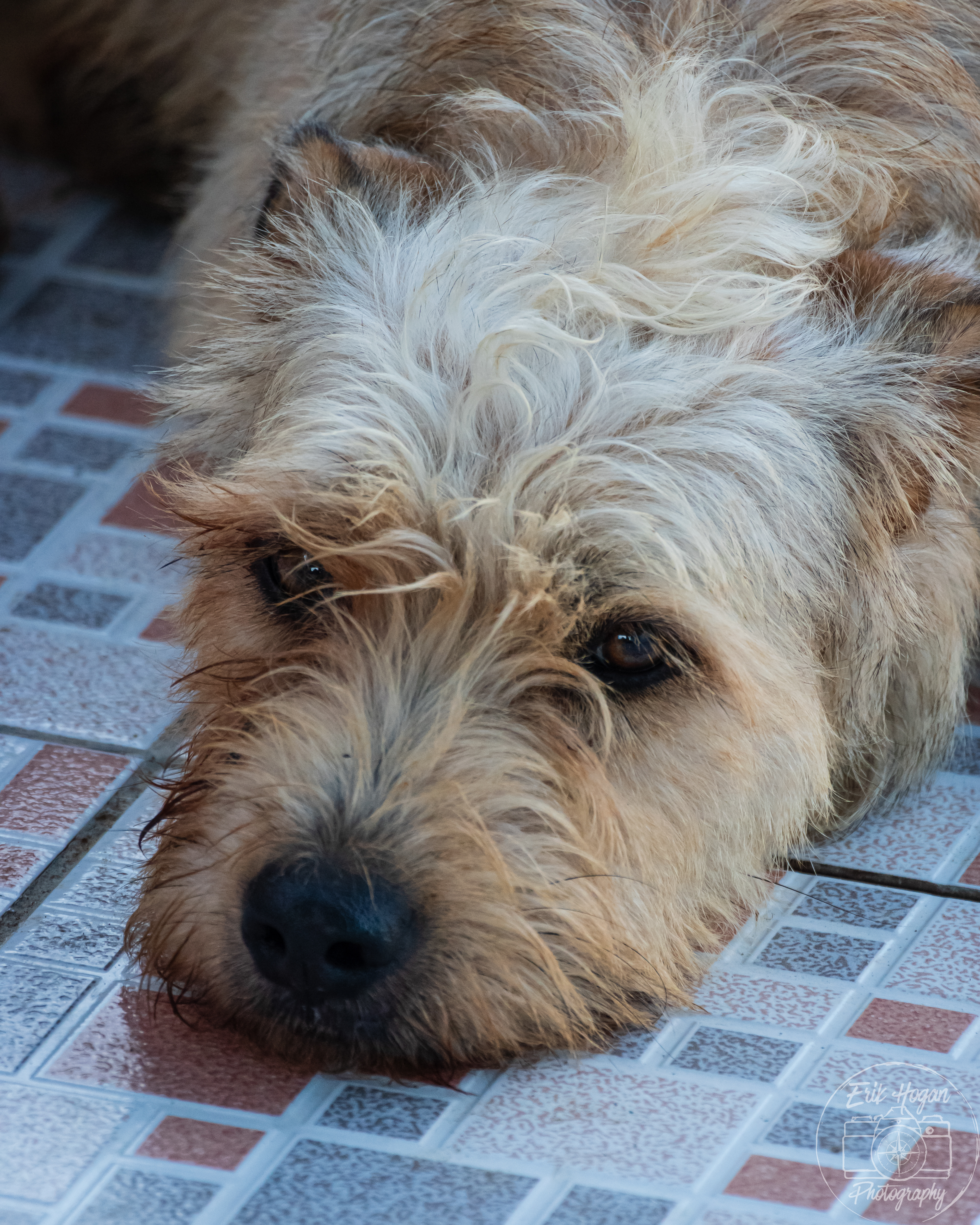 Nacaome, Honduras July 2024   XXVII