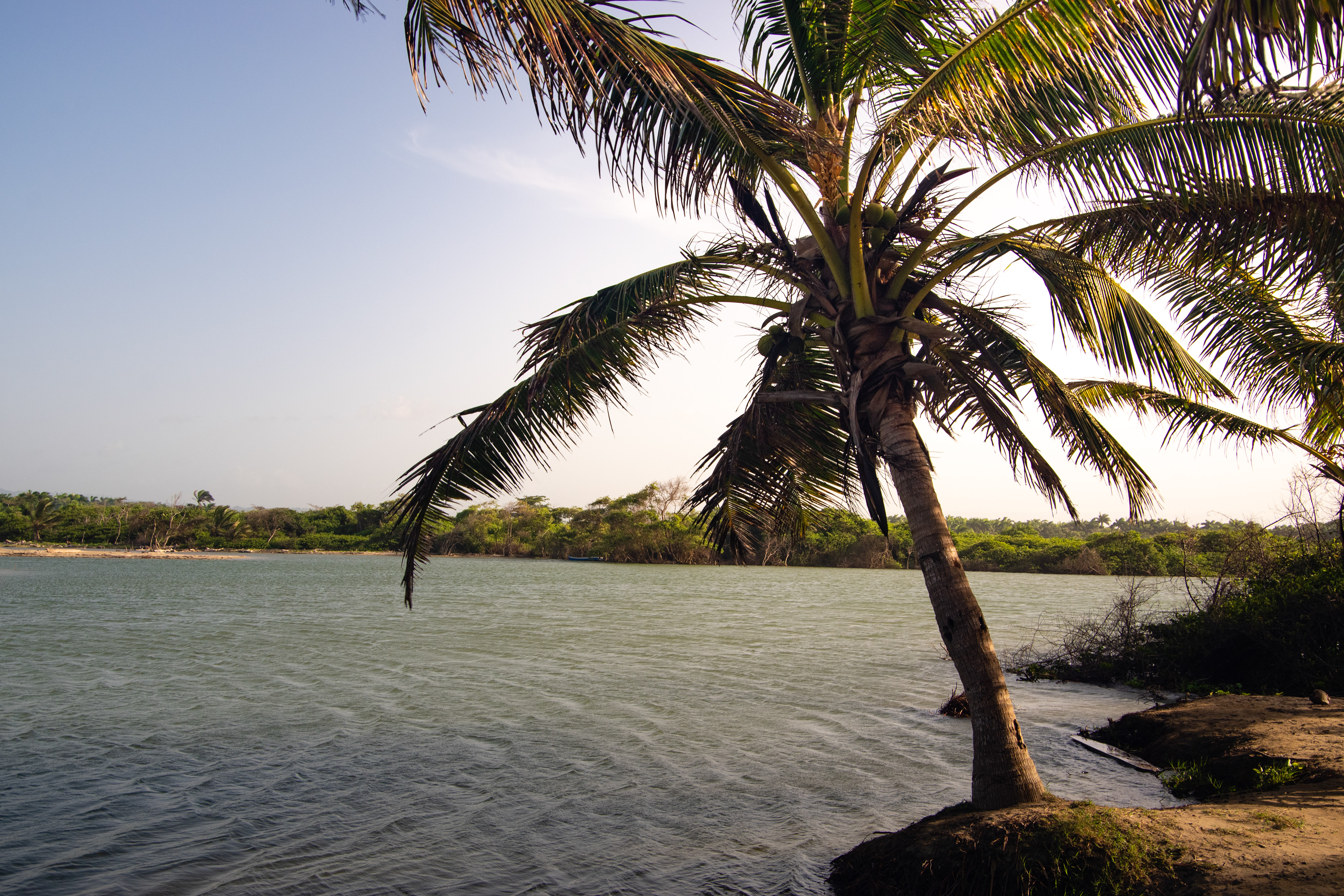 Puerto La Boca July 2021   XIV