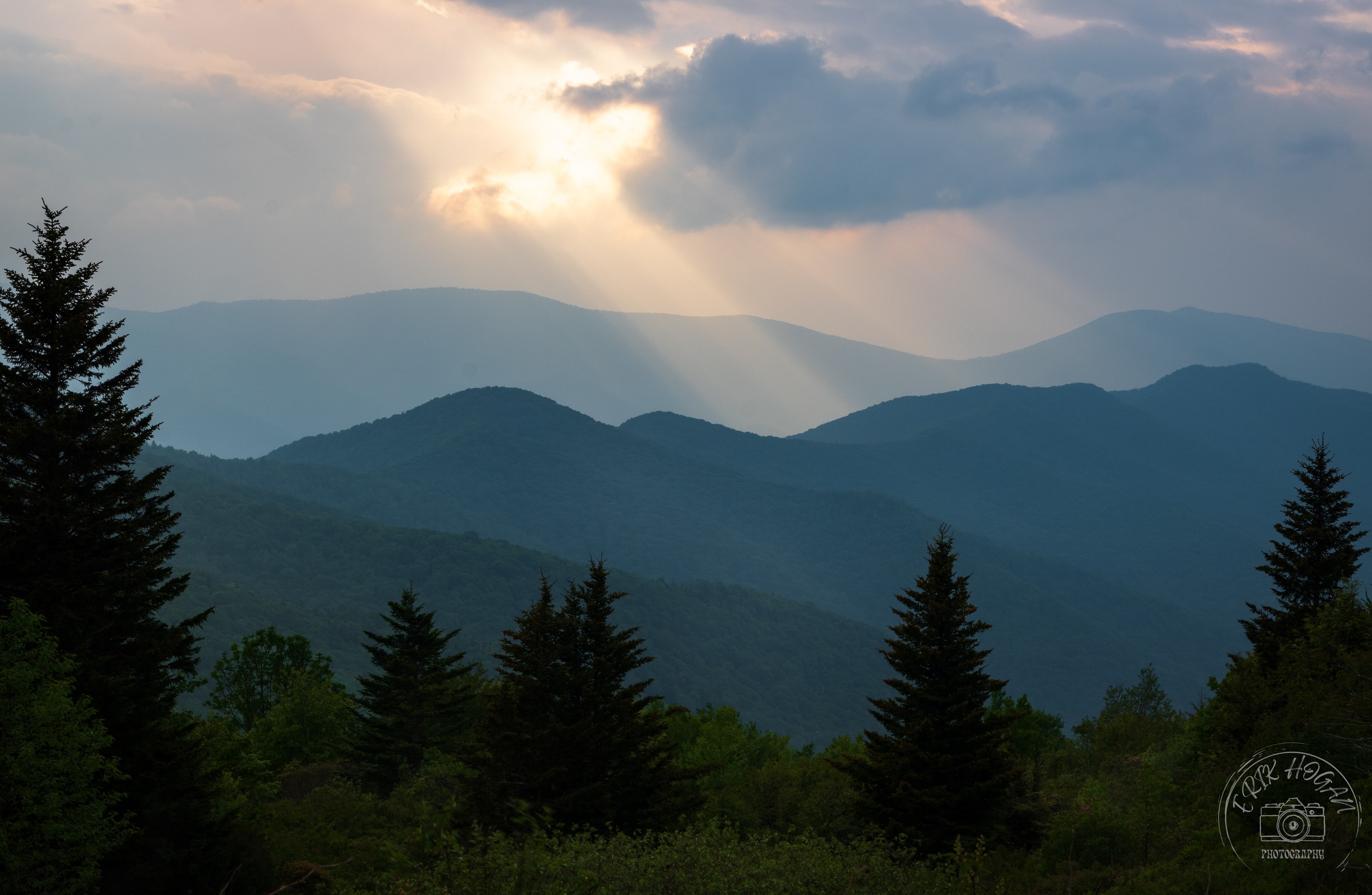 Shining Rock Wilderness June 2023