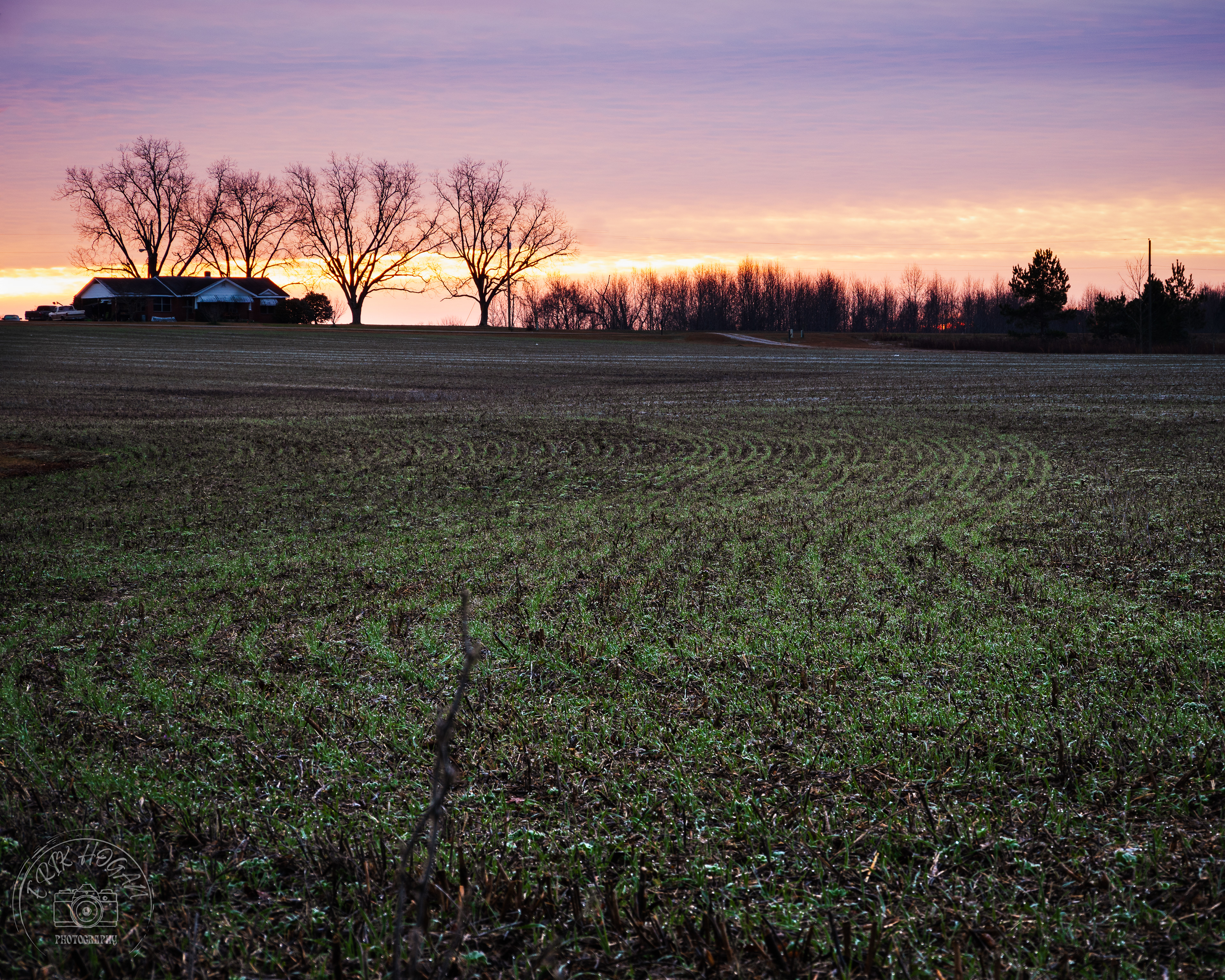 Green Bough House of Prayer January 2024   II