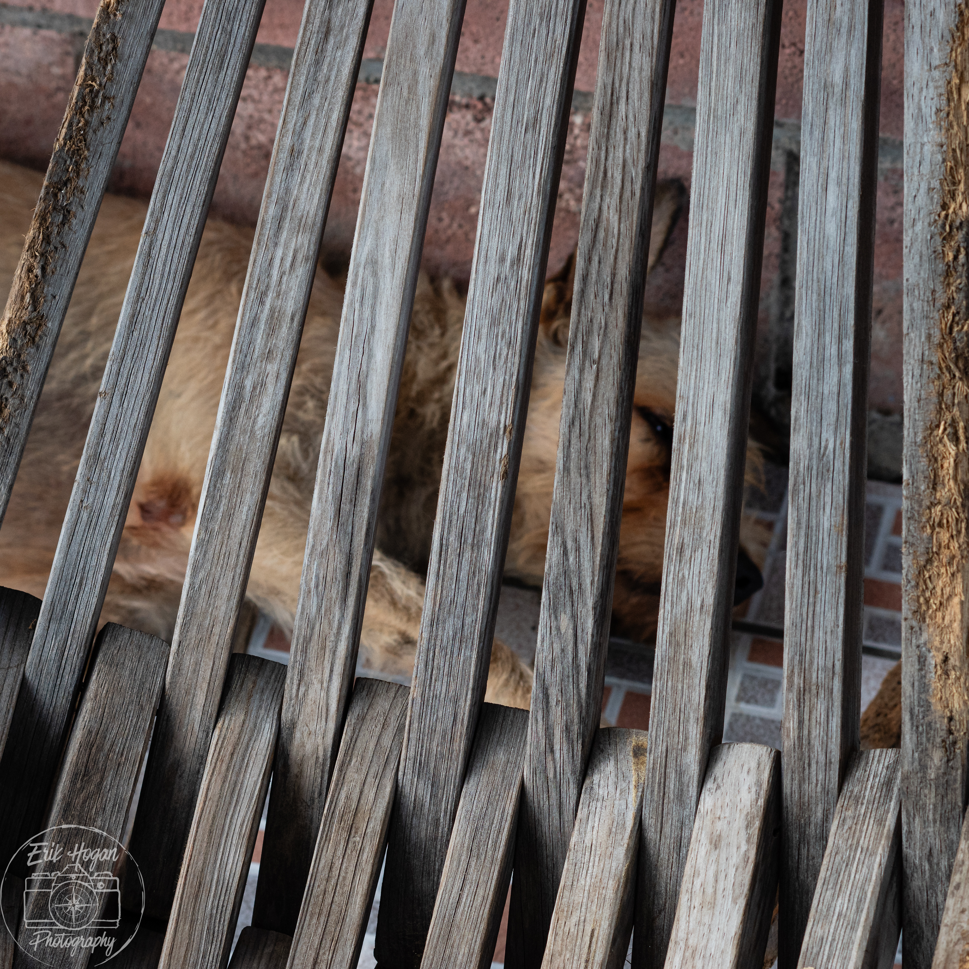 Nacaome, Honduras July 2024   III