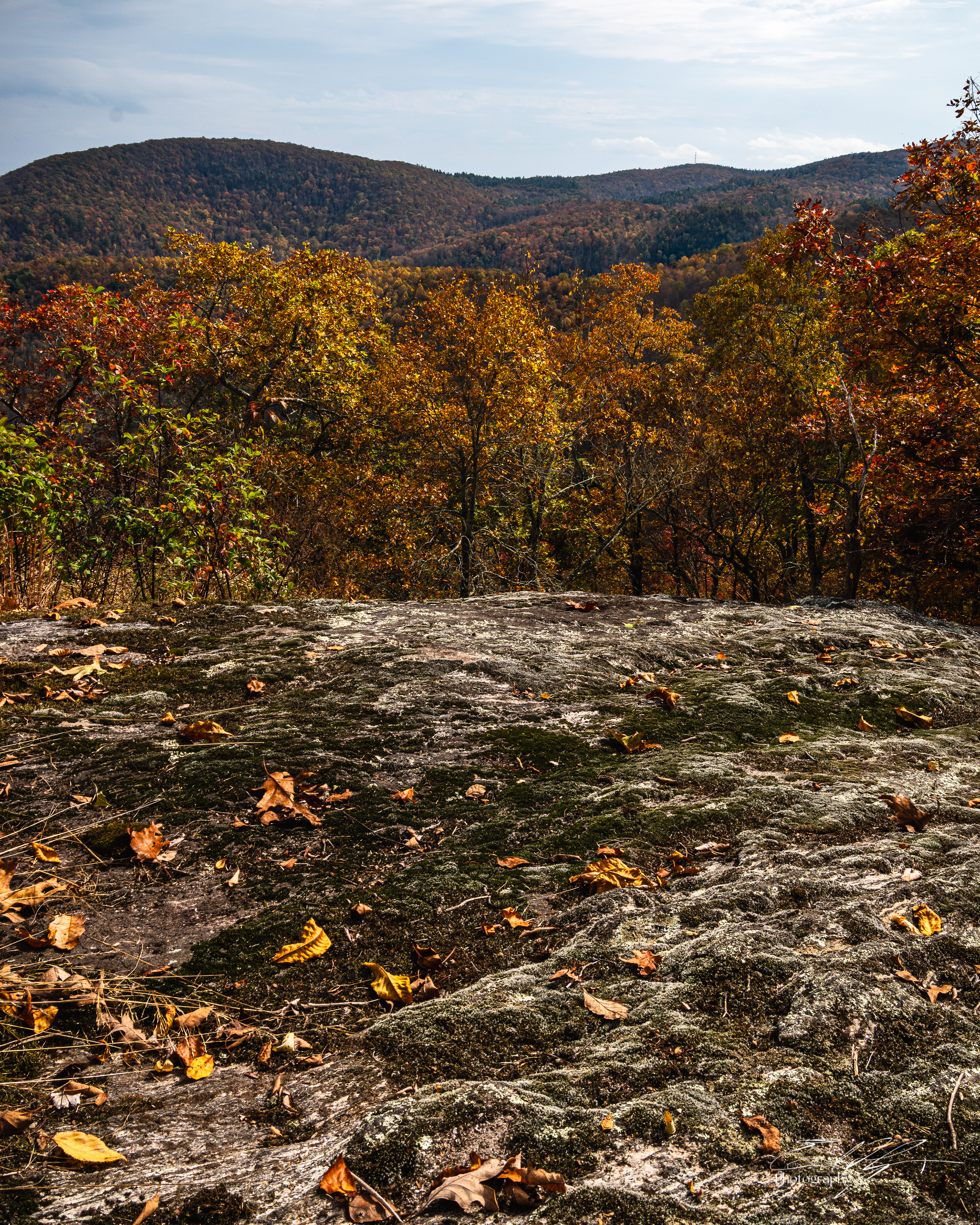 Day 3  Scaly Mountain IV