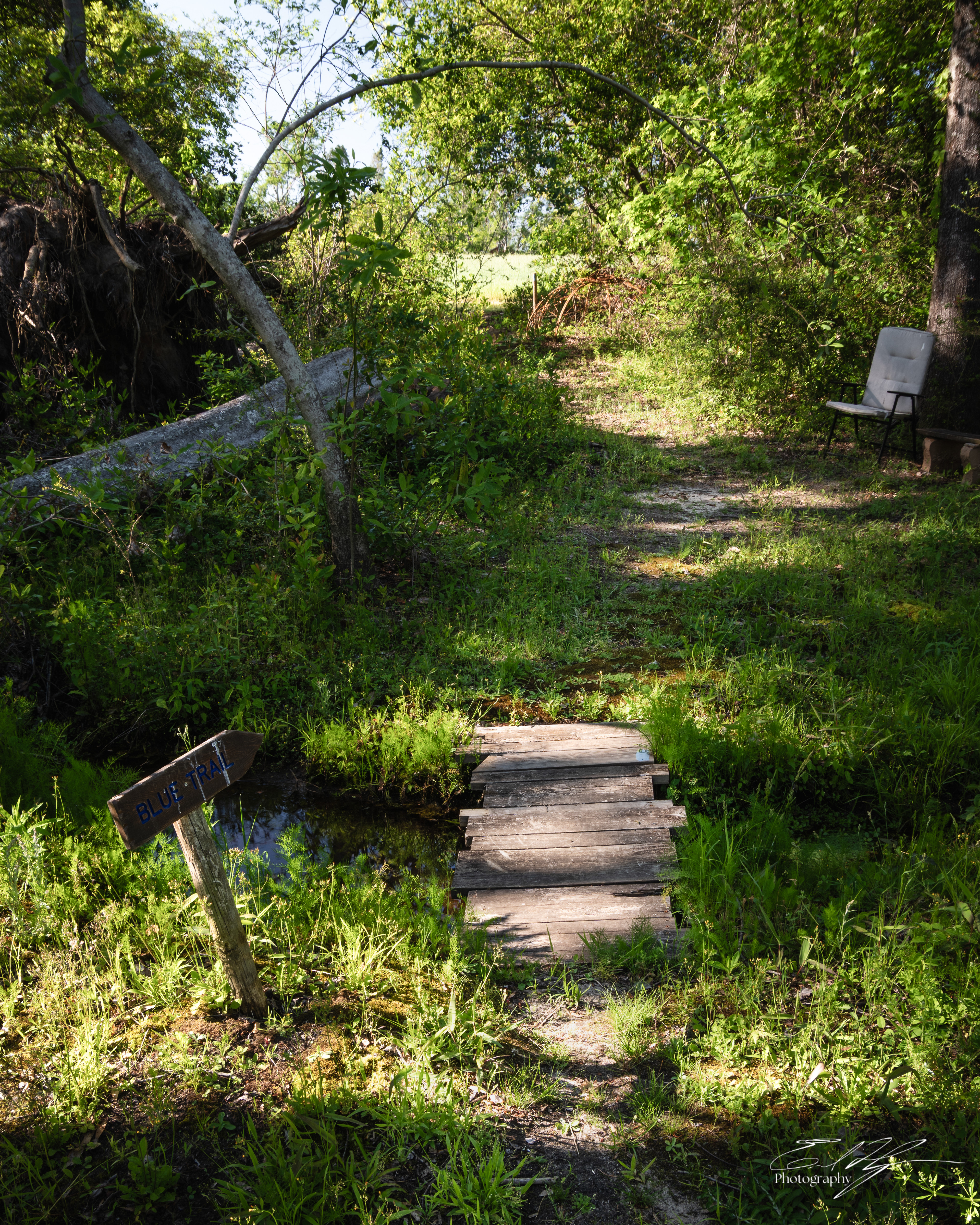 Green Bough House of Prayer April 2025   IX