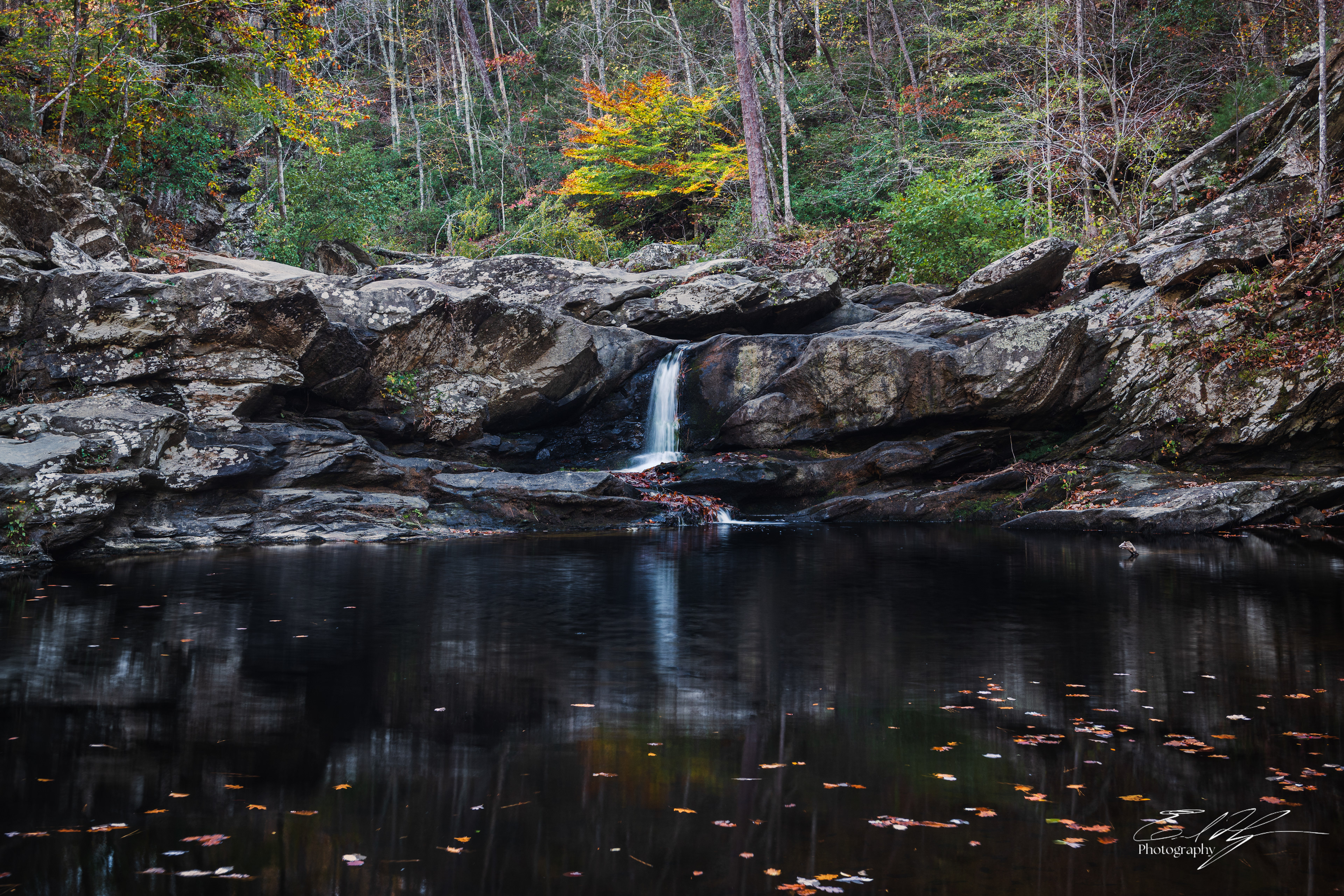 Devil's Den Falls November 2024   I
