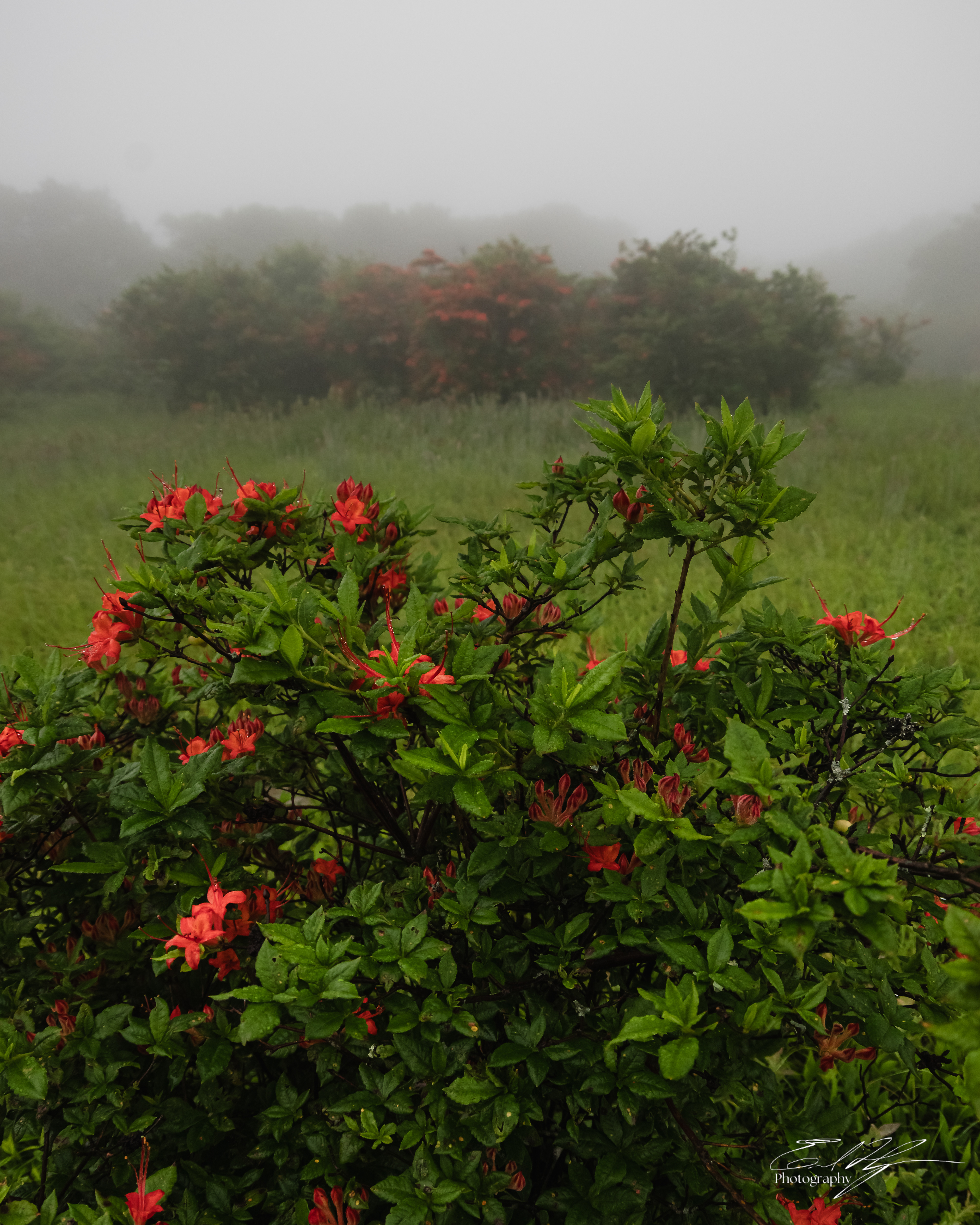 Gregory Bald June 2025 X