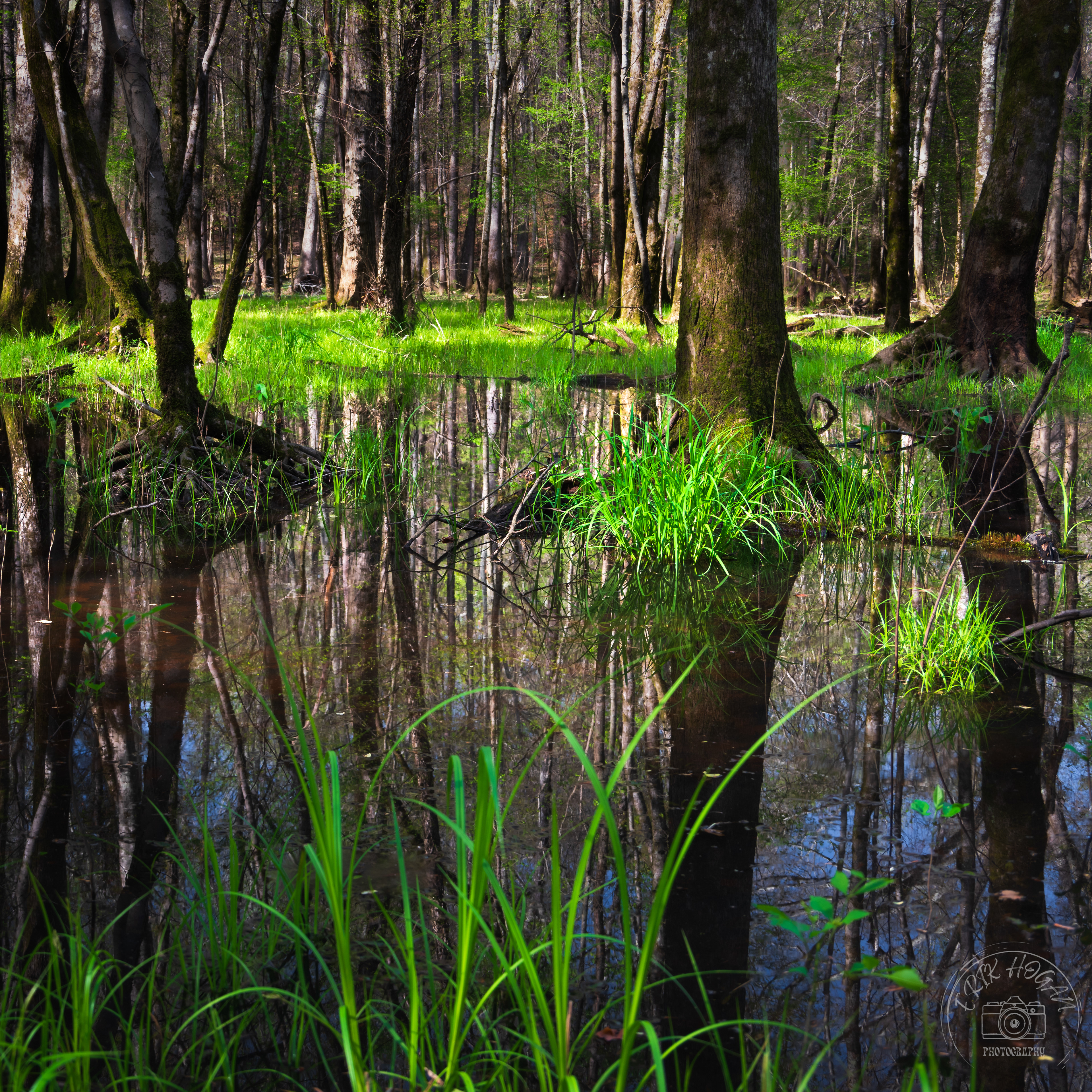 Sandy Creek Nature Center March 2023