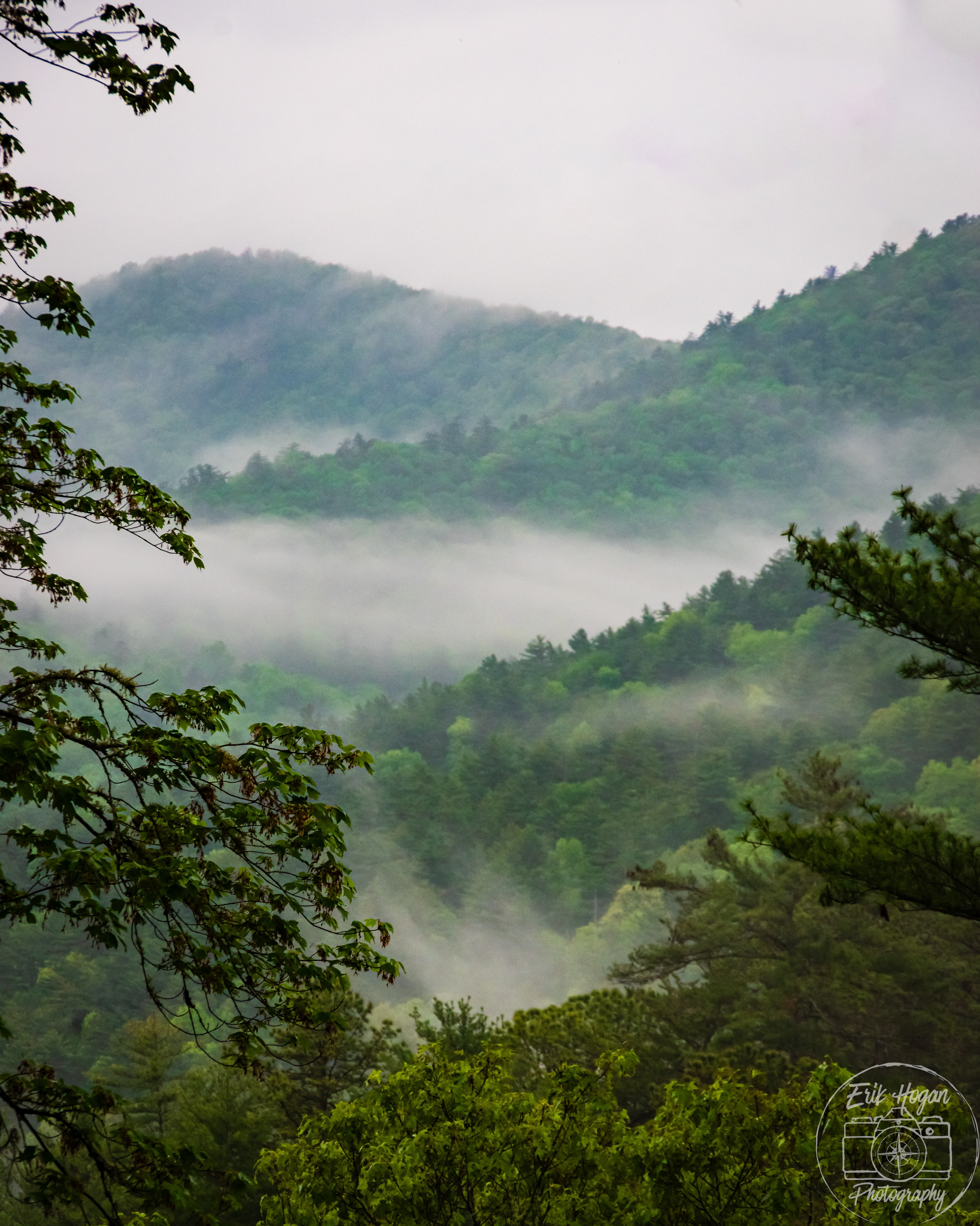 Gap in the Trees May 2024