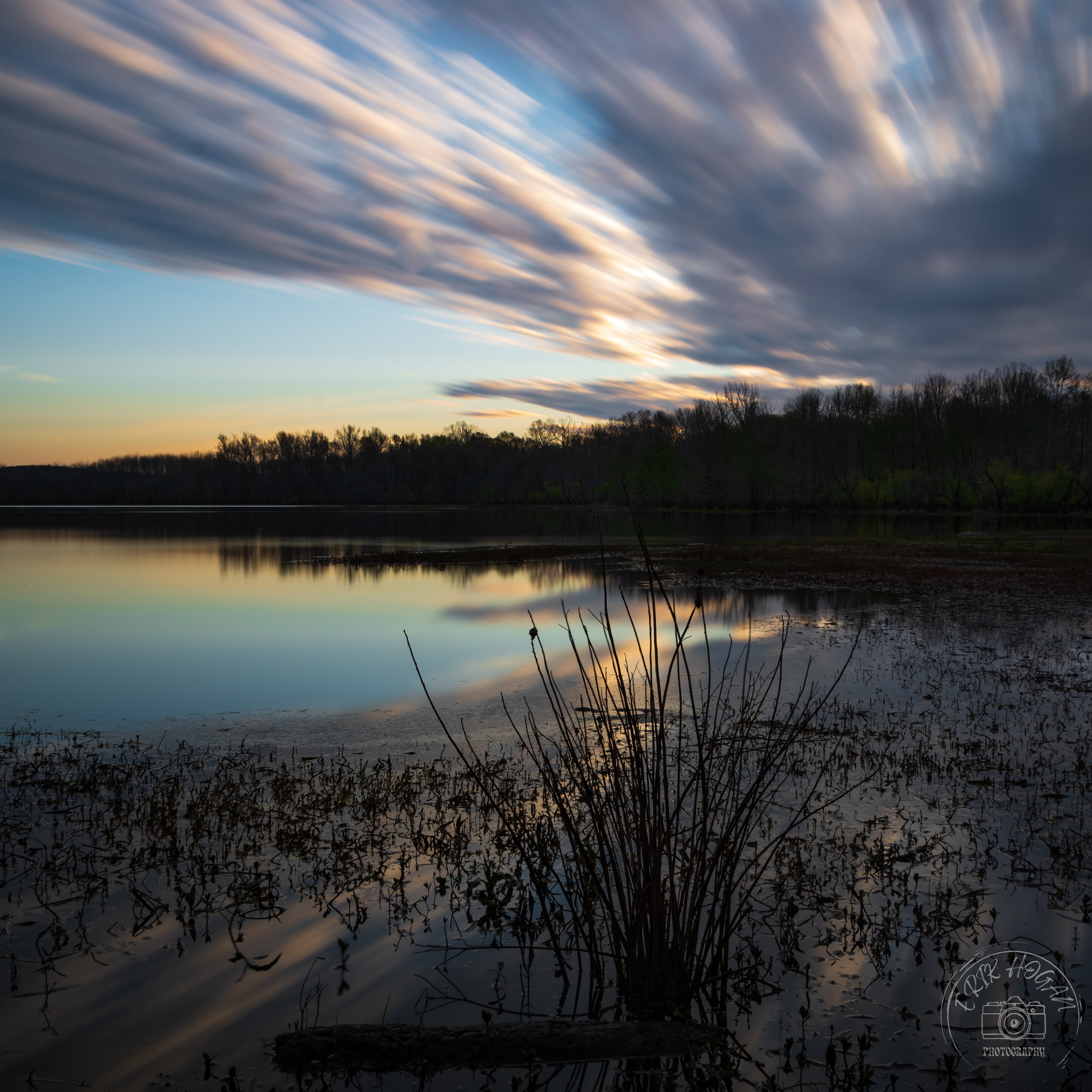 Dyar's Pasture March 2023   II