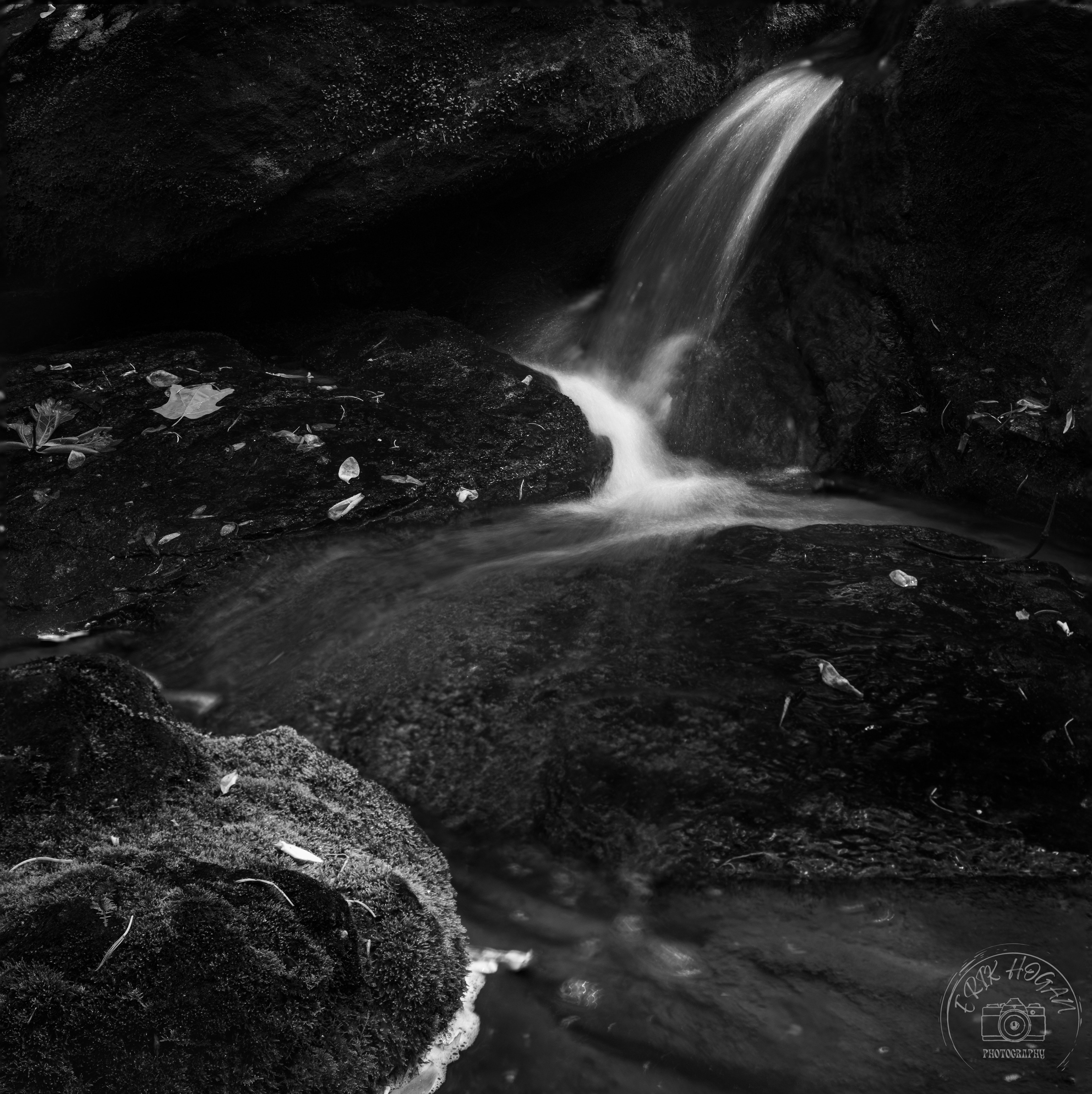 State Botanical Gardens of Georgia April 2023   II