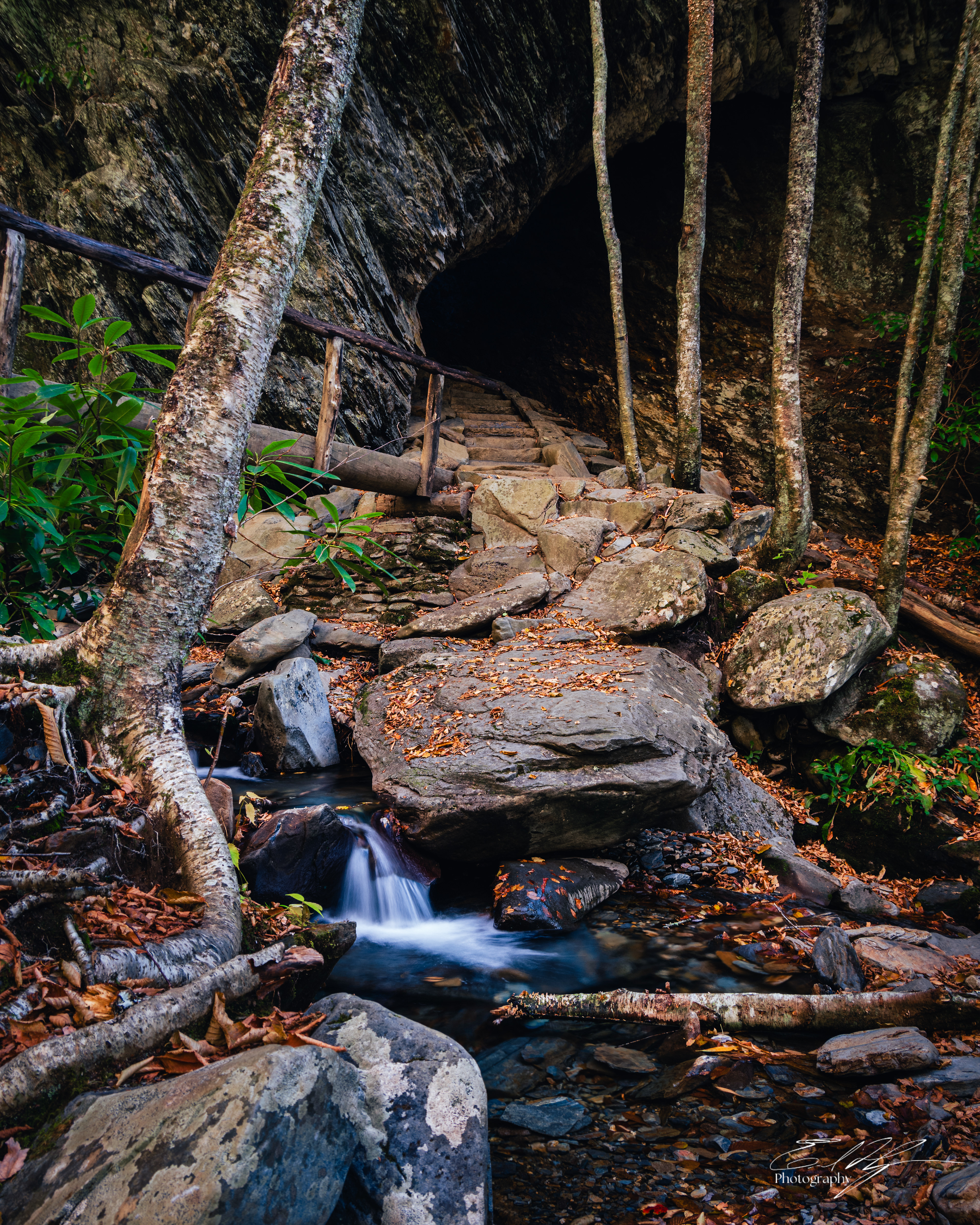 Alum Cave Trail October 2024   IV