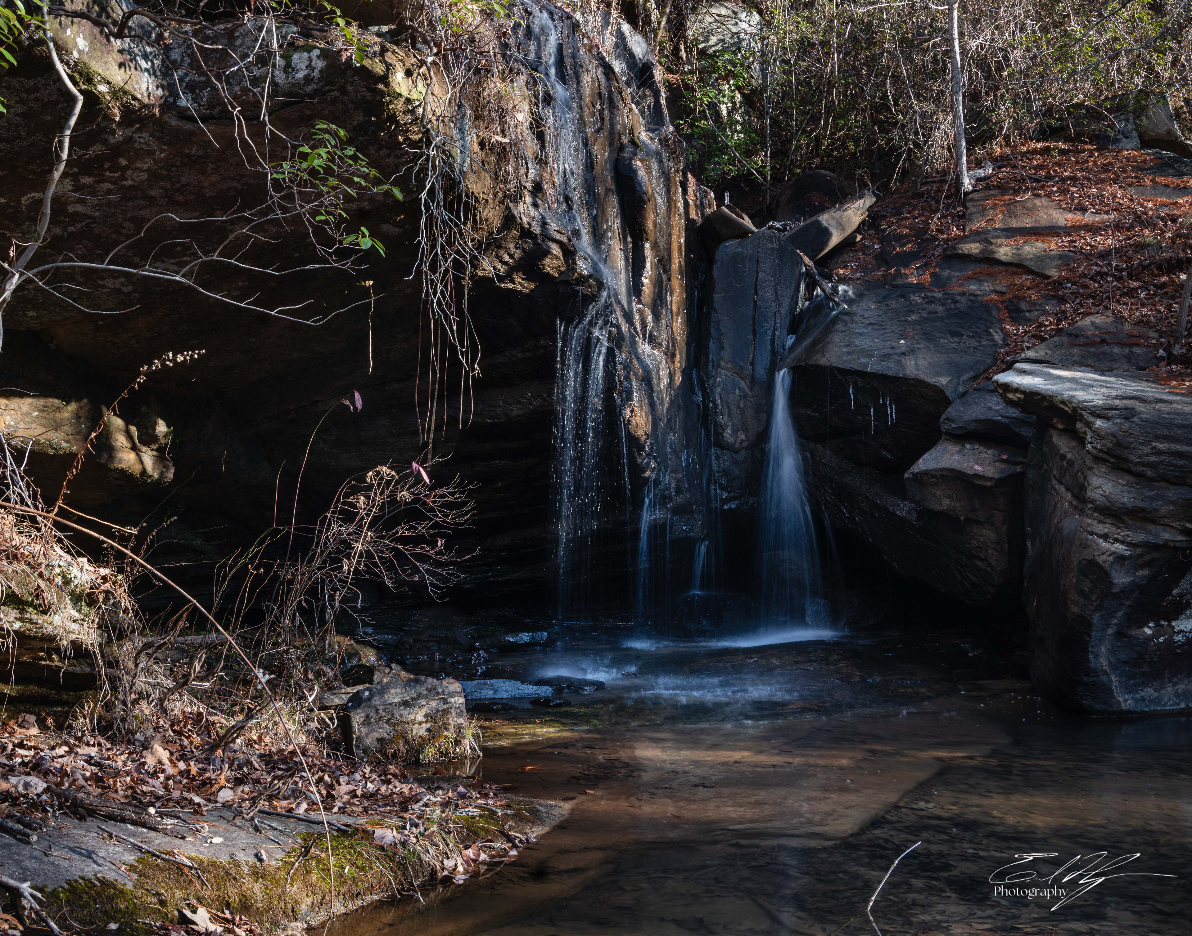 Big Leatherwood Falls, Lake Russell WMA January 2026 II