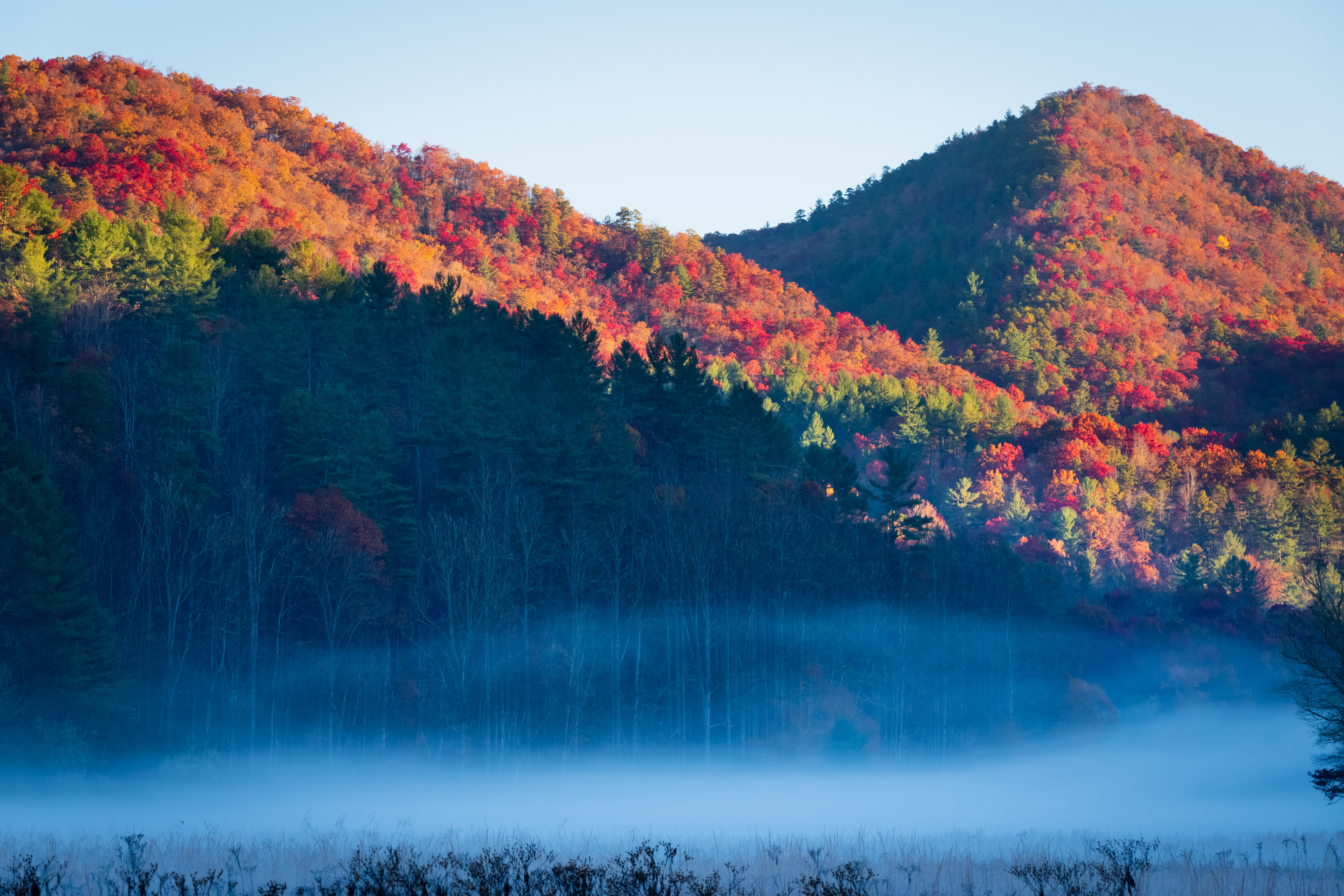 Cataloochee Valley October 2022  XXI