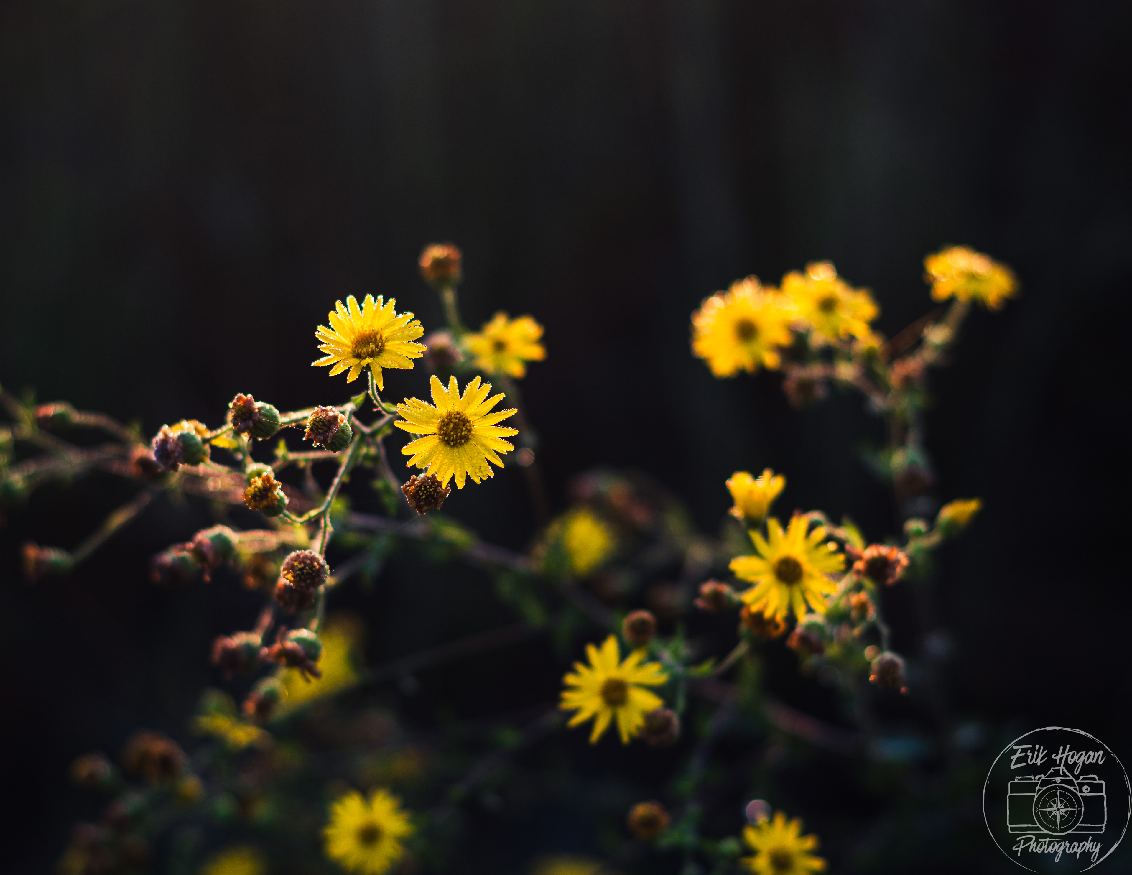 Boley Dr October 2024   I