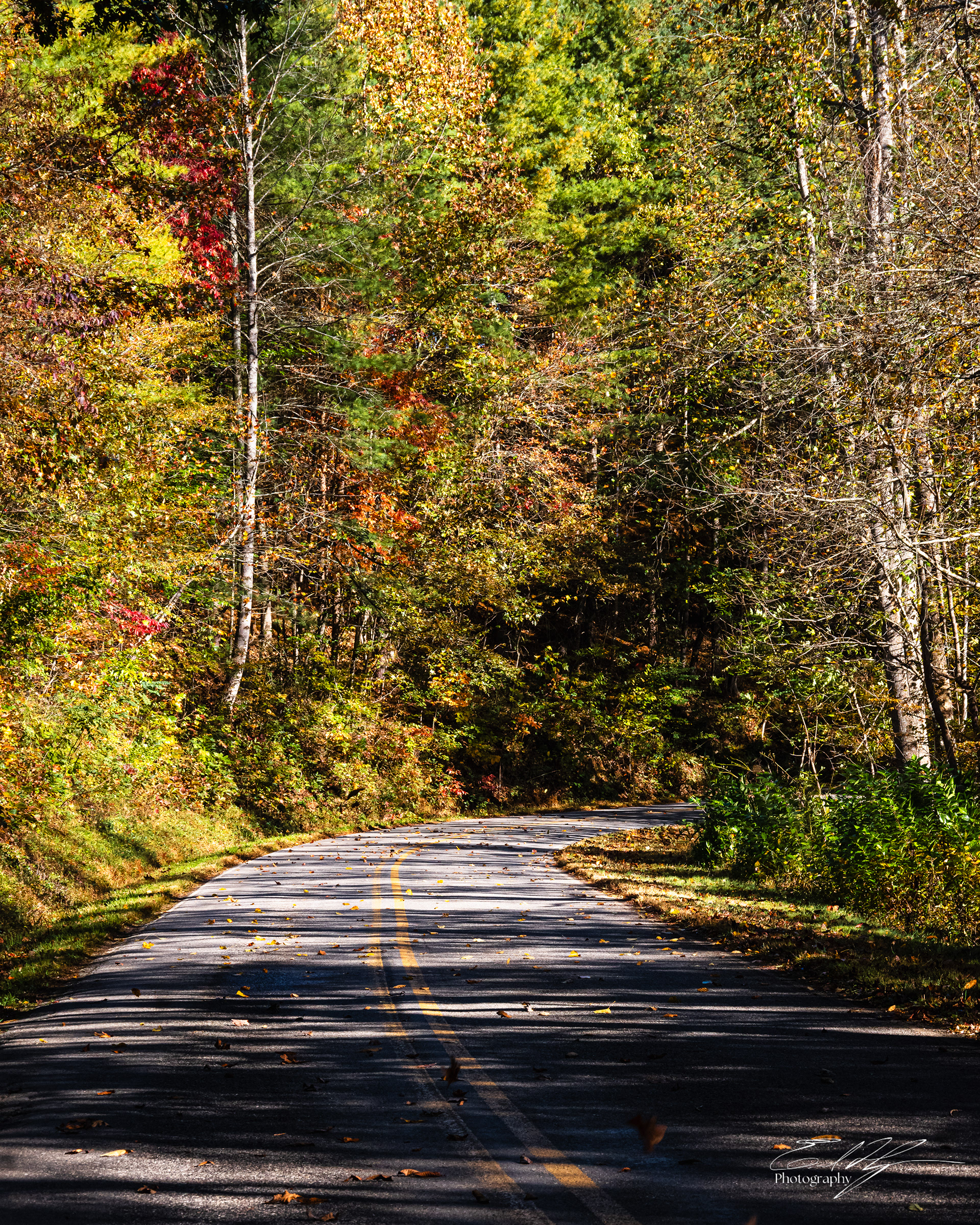 Day 4  Franklin Road Walk IV